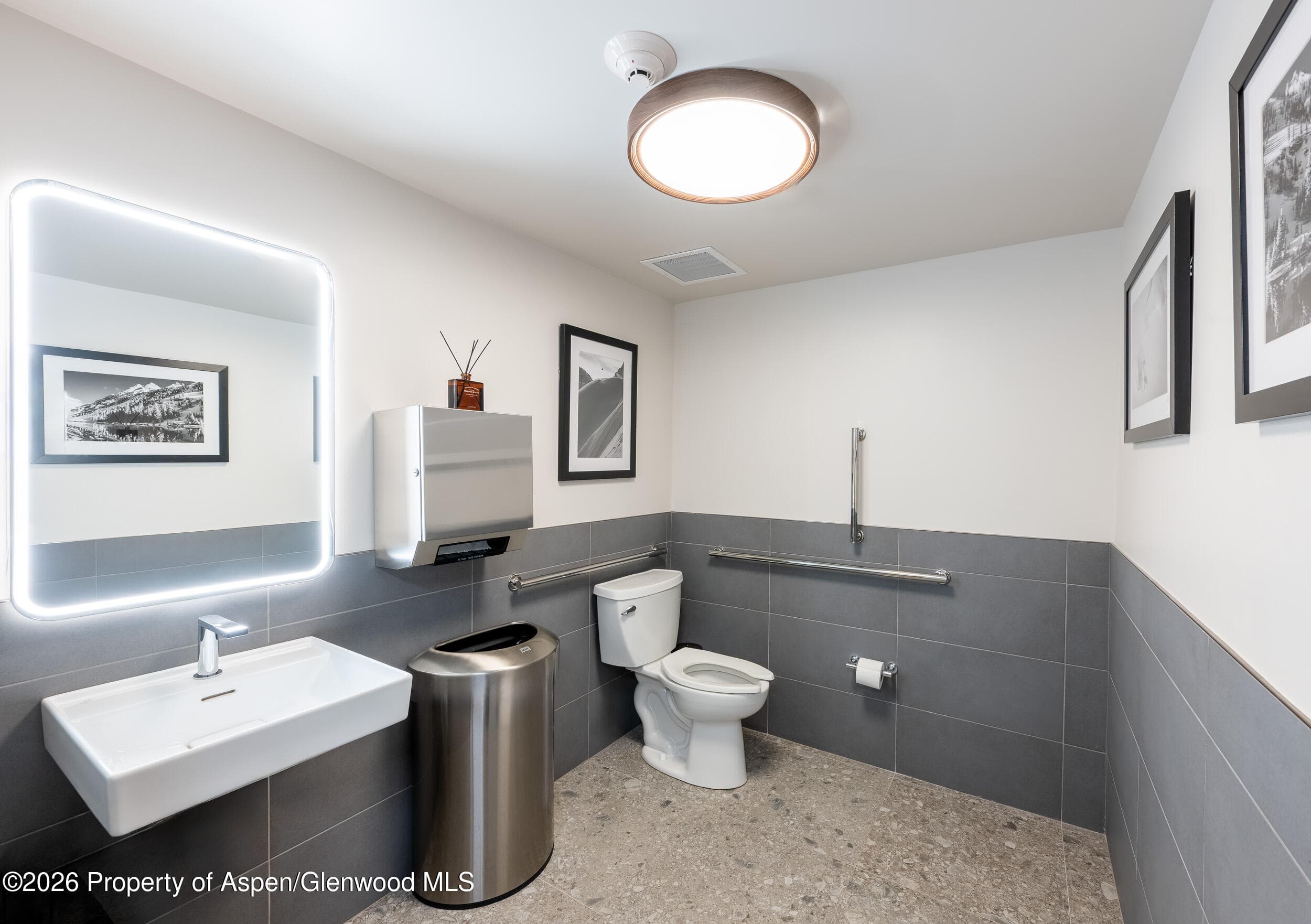 520 E Cooper Avenue C7, Aspen, CO 81611 - Photo 11