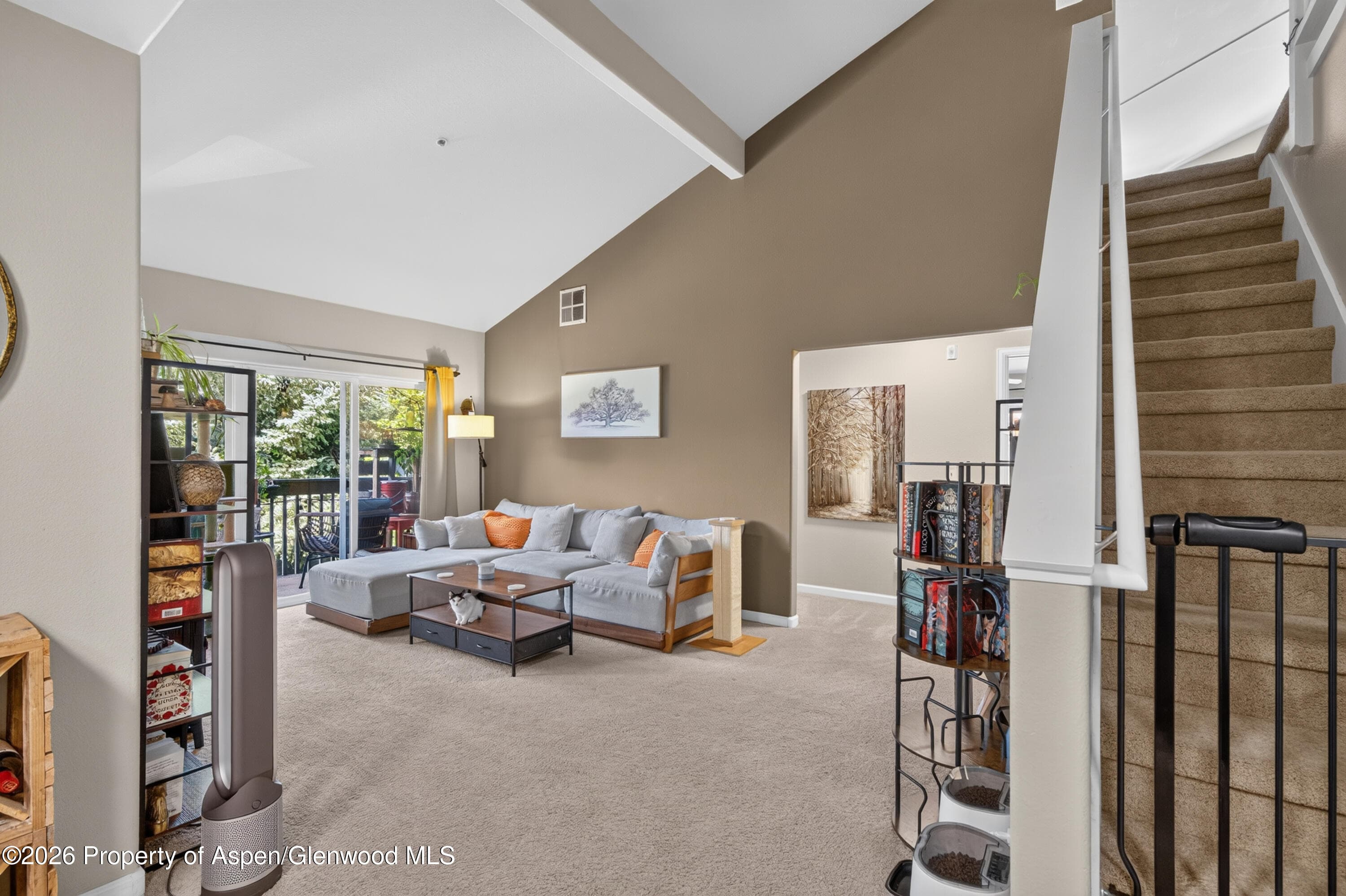 792 Castle Valley Boulevard I, New Castle, CO 81647 - Photo 2