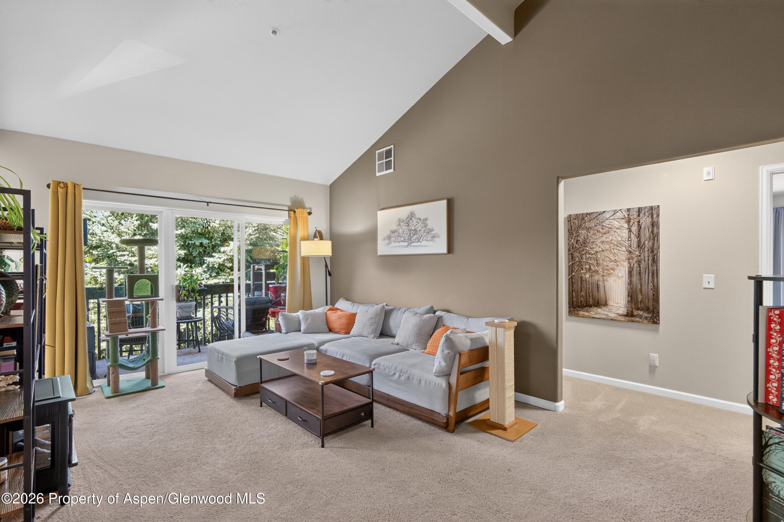 792 Castle Valley Boulevard I, New Castle, CO 81647 - Photo 3