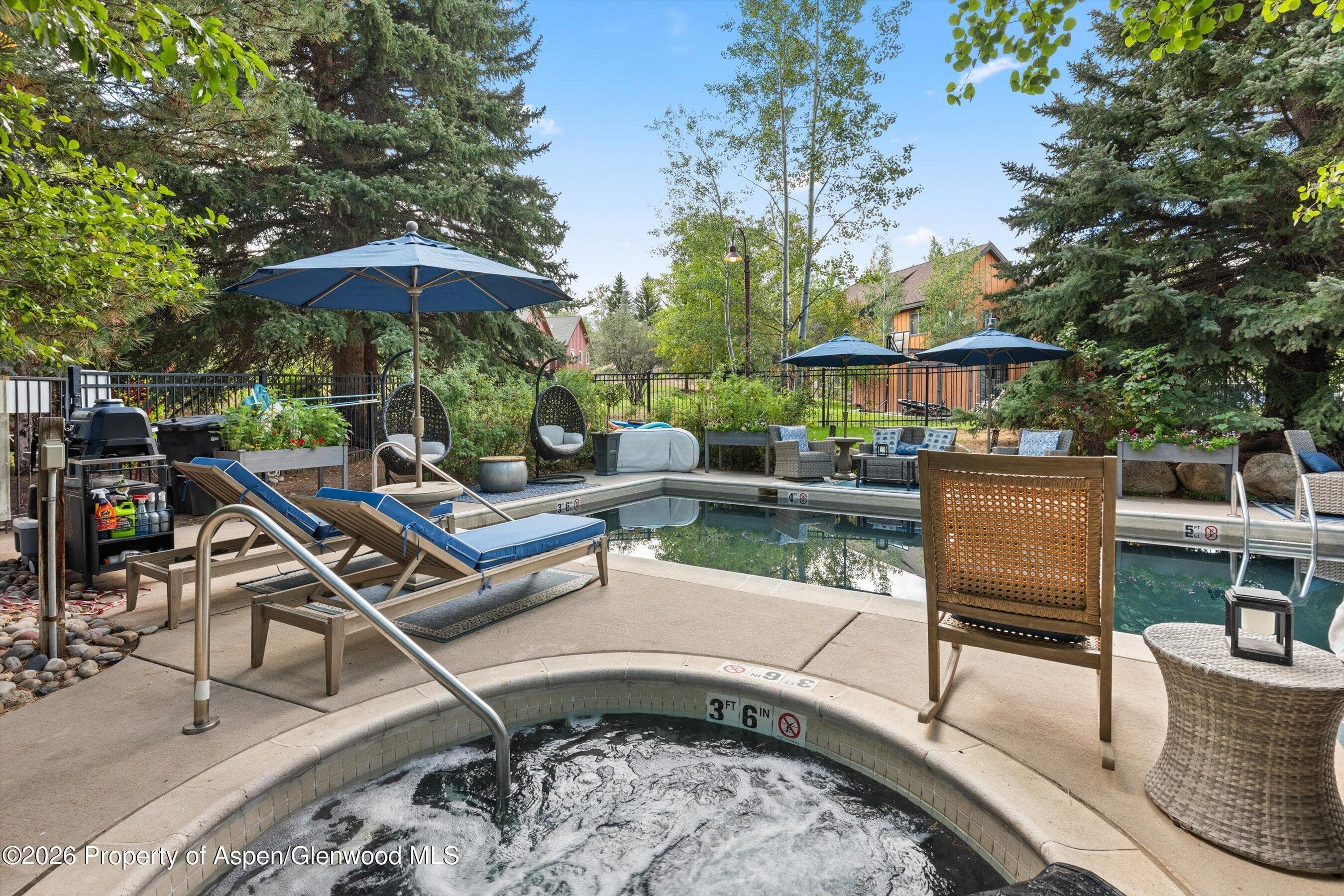 414 Pacific Avenue G, Aspen, CO 81611 - Photo 16