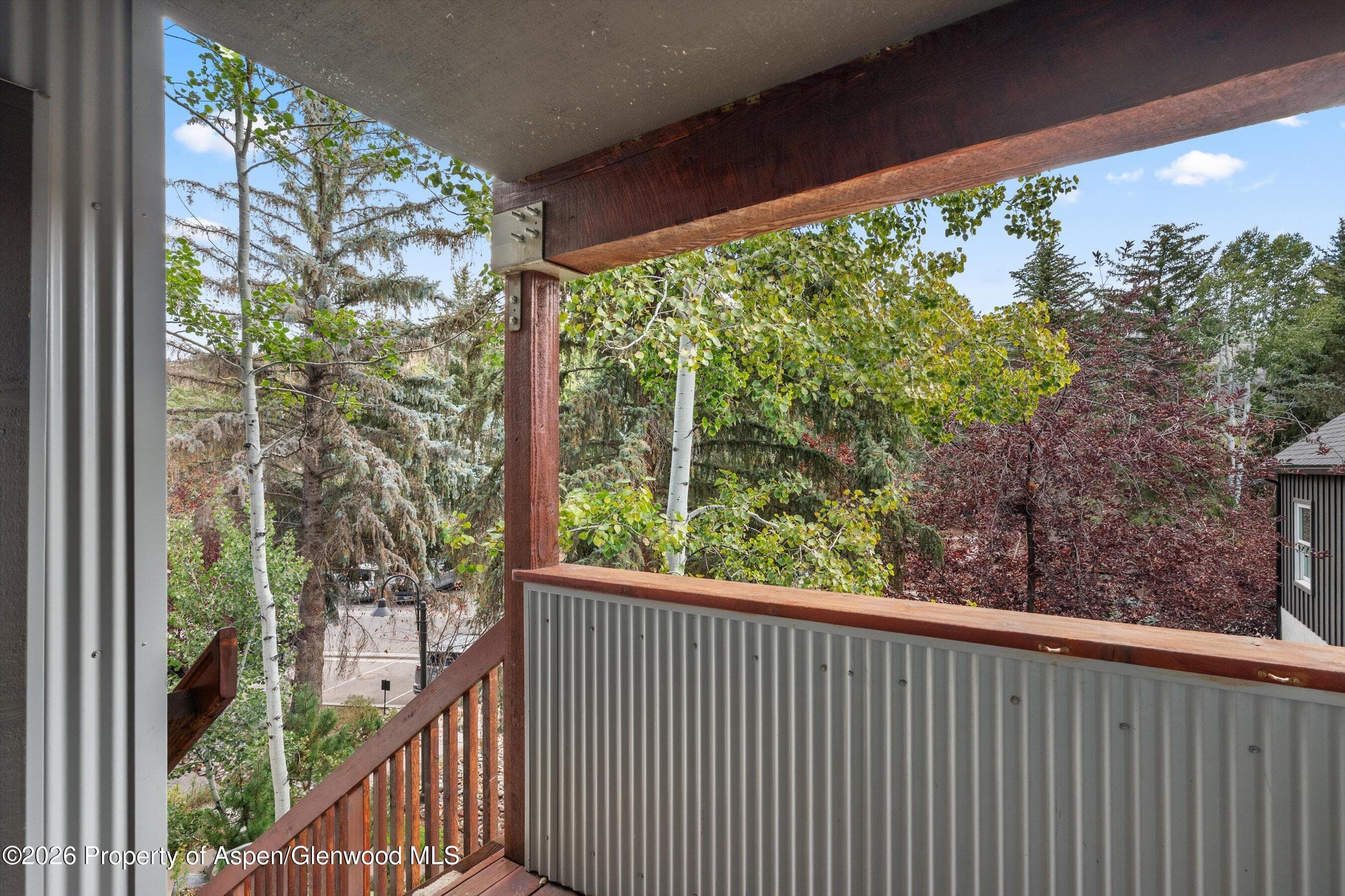 414 Pacific Avenue G, Aspen, CO 81611 - Photo 18