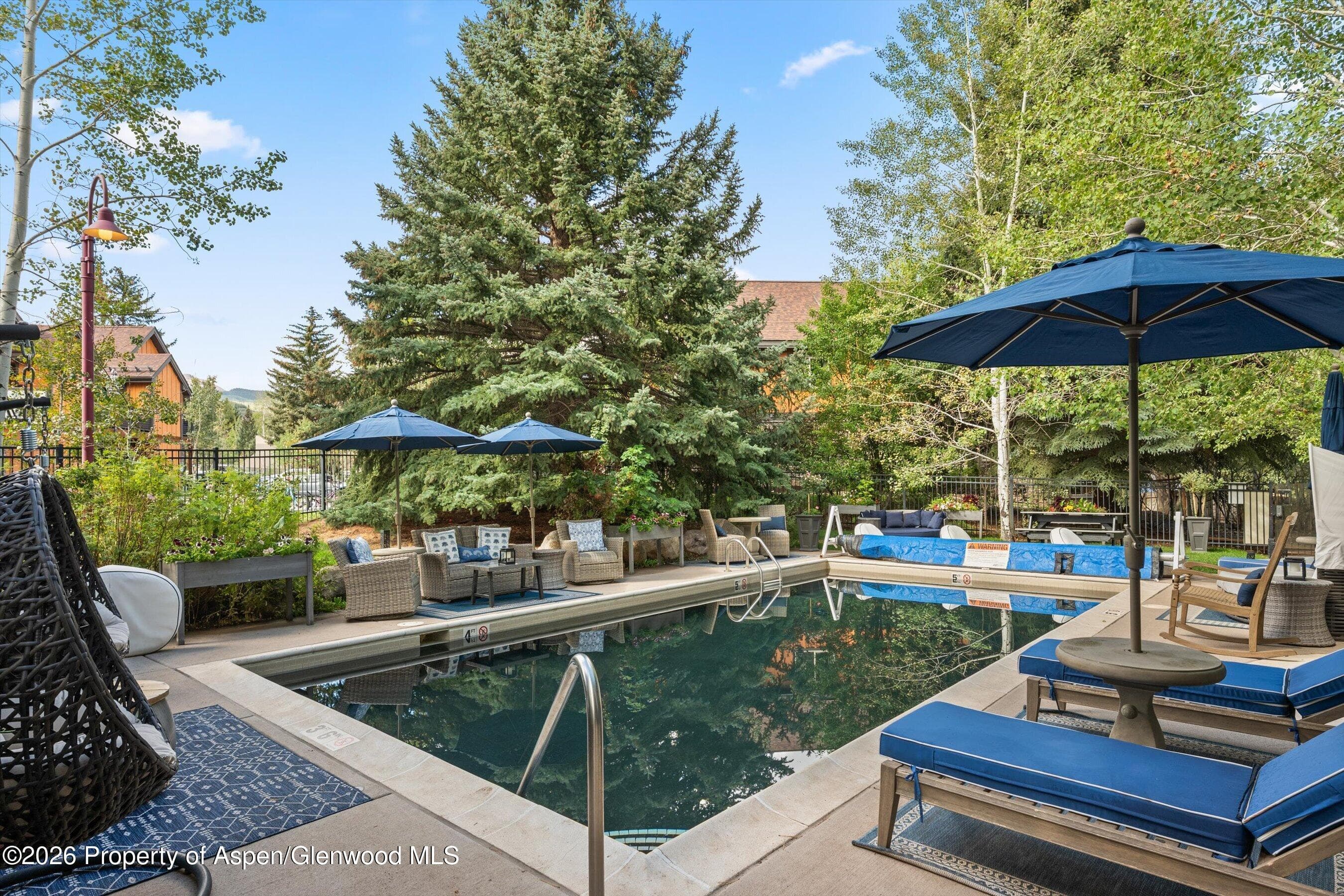 414 Pacific Avenue G, Aspen, CO 81611 - Photo 19