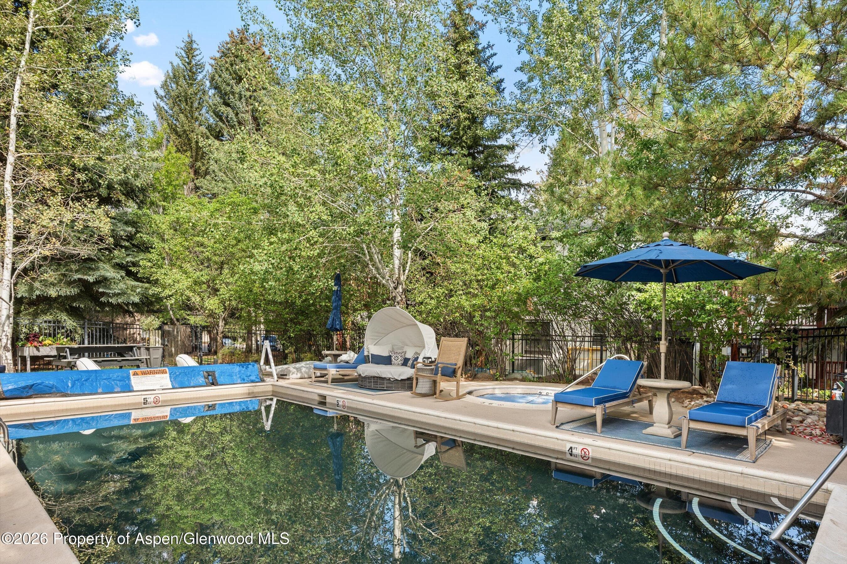 414 Pacific Avenue G, Aspen, CO 81611 - Photo 20