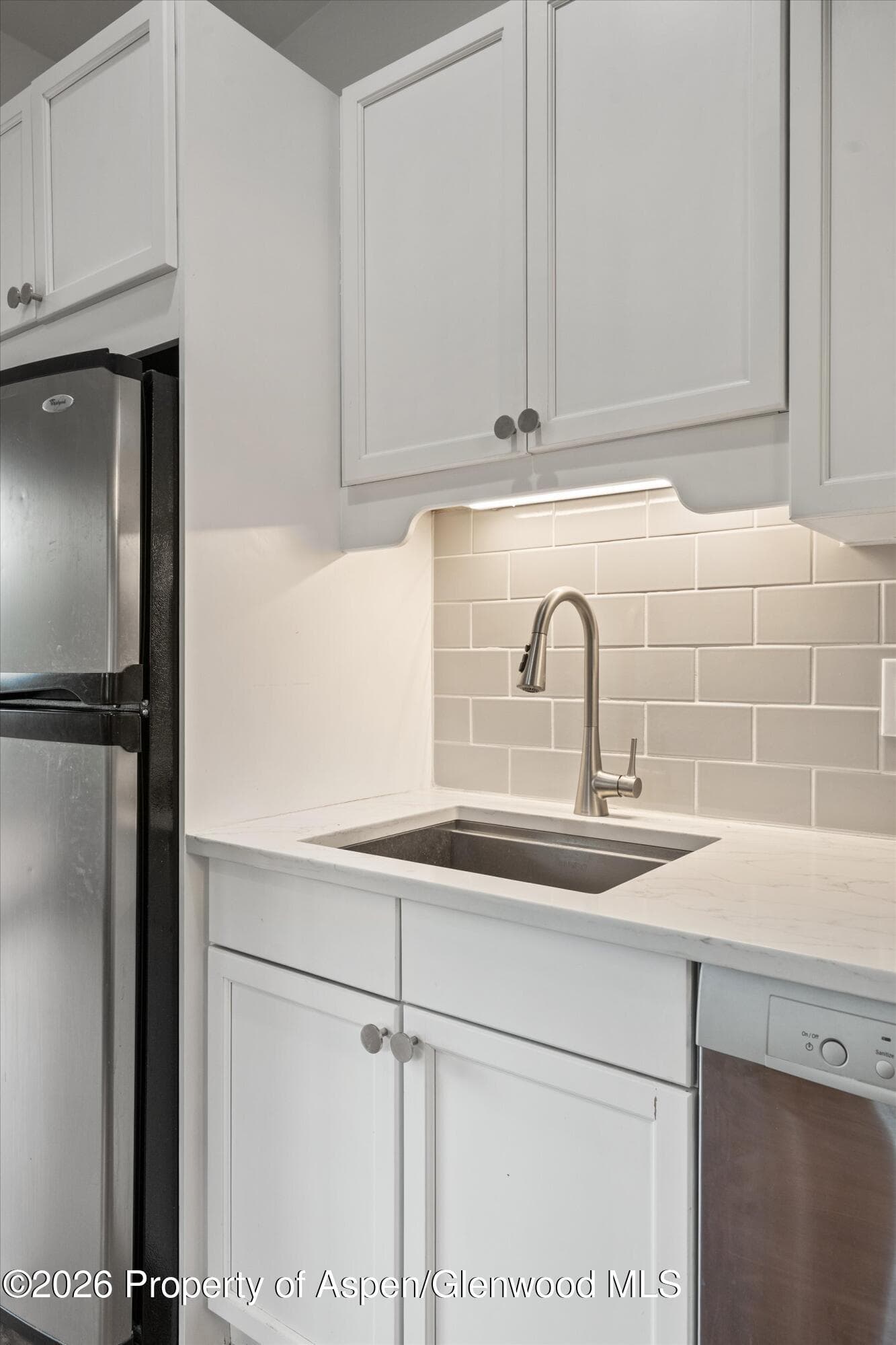 414 Pacific Avenue G, Aspen, CO 81611 - Photo 23