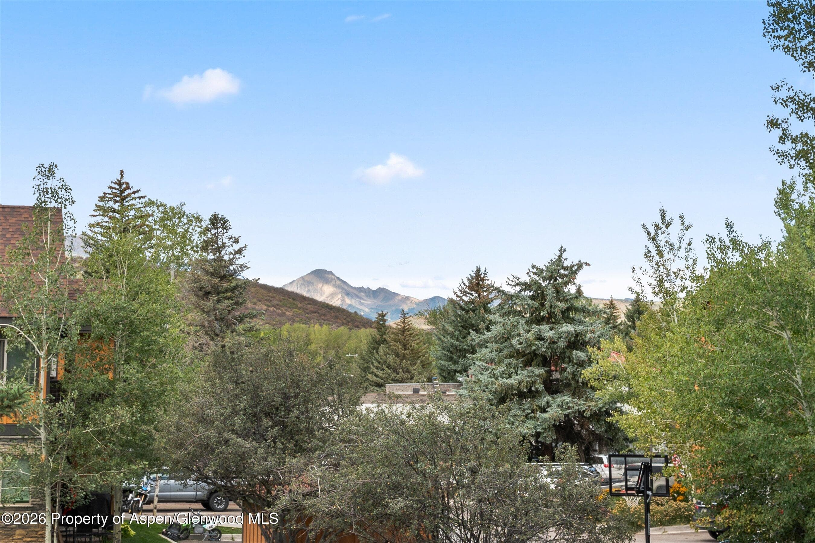 414 Pacific Avenue G, Aspen, CO 81611 - Photo 26