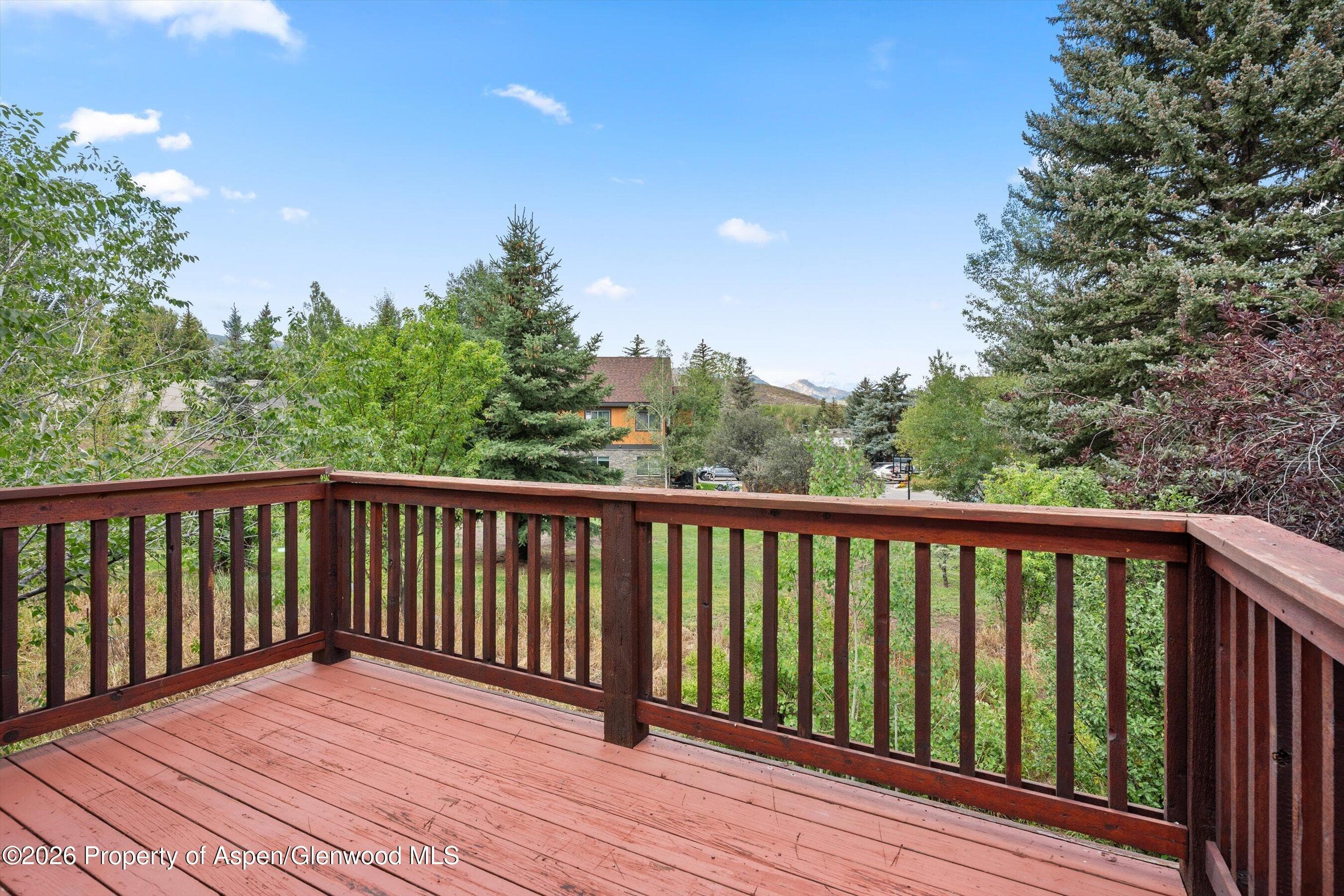 414 Pacific Avenue G, Aspen, CO 81611 - Photo 28