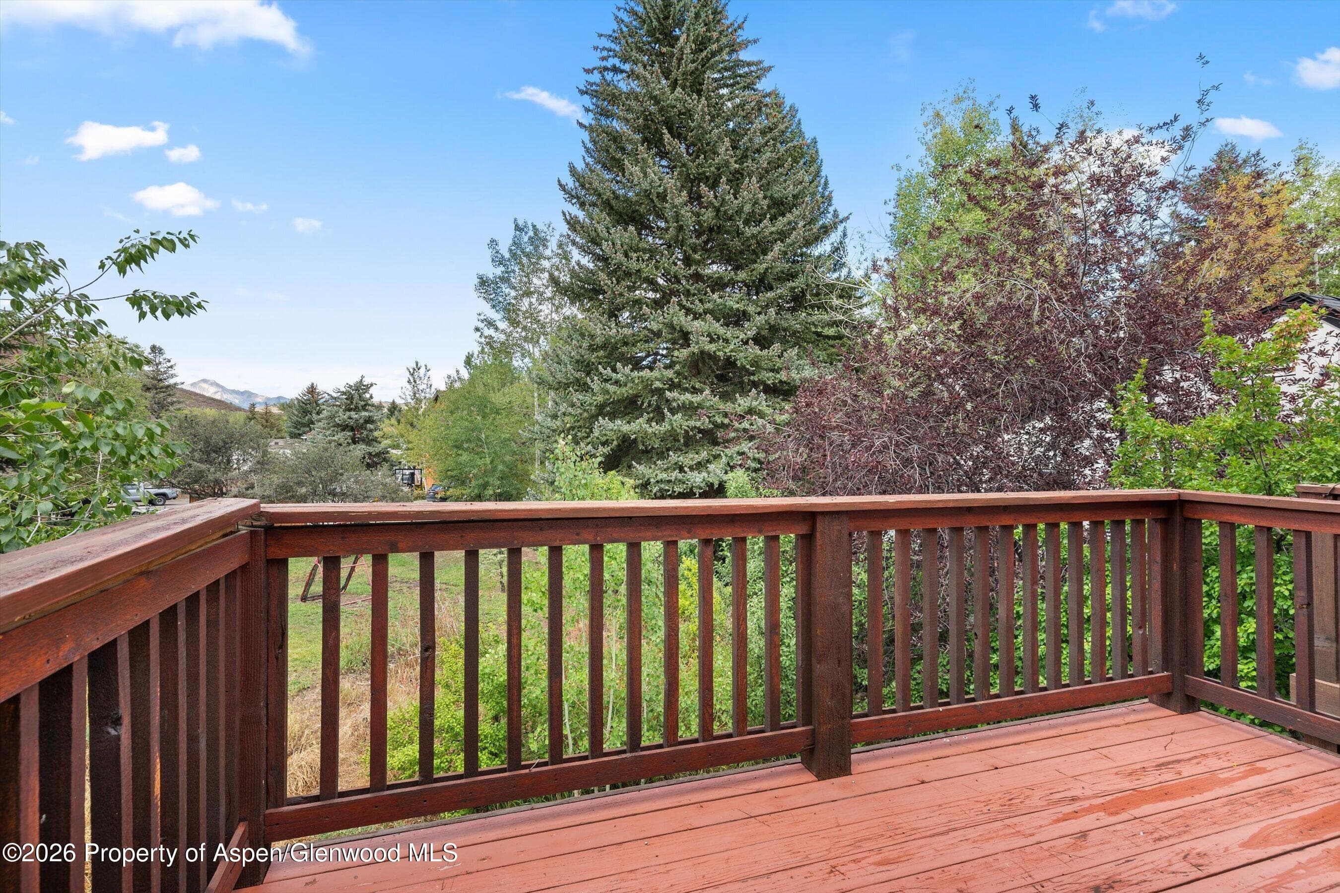 414 Pacific Avenue G, Aspen, CO 81611 - Photo 29