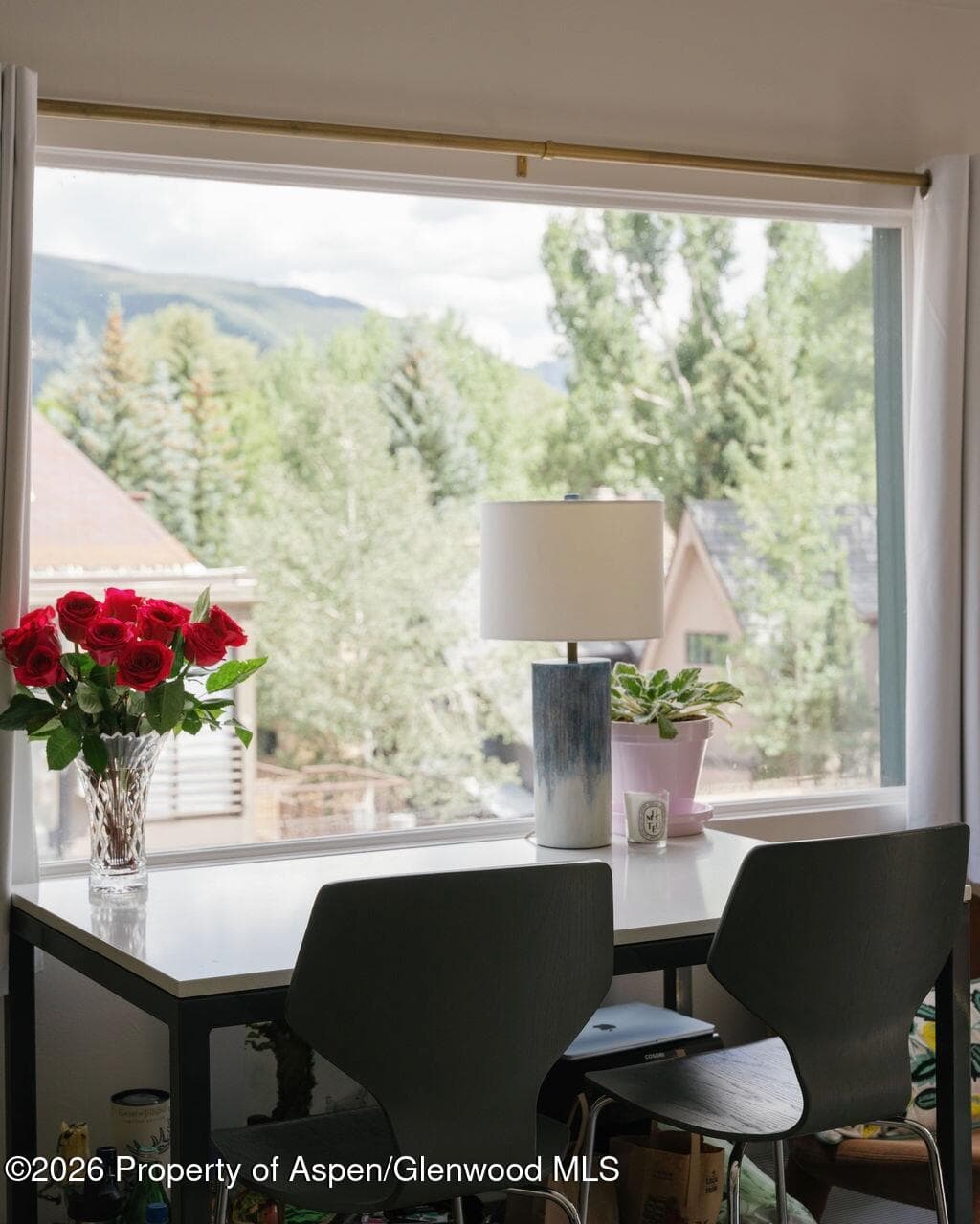 333 W Main Street B/2, Aspen, CO 81611 - Photo 5