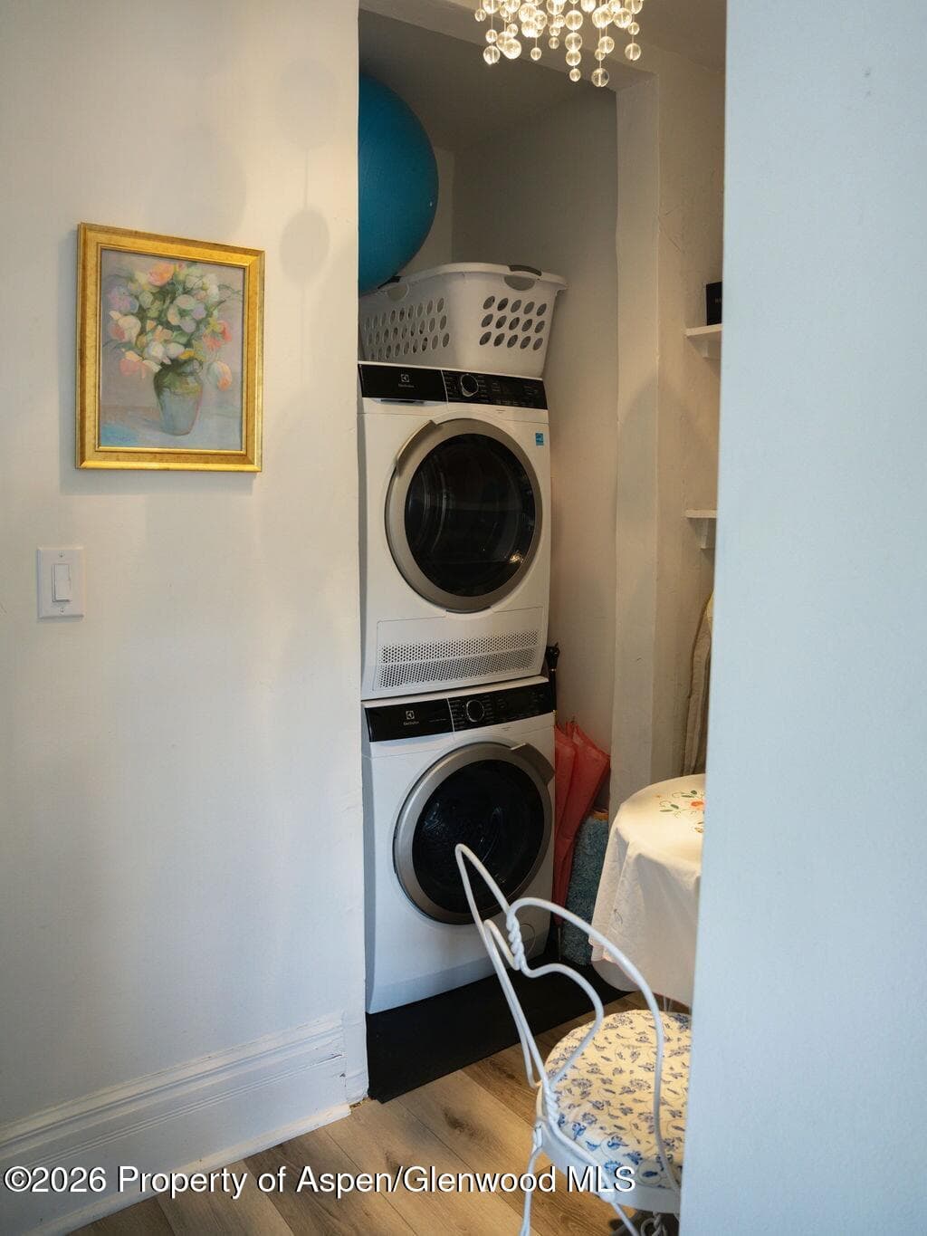 333 W Main Street B/2, Aspen, CO 81611 - Photo 23