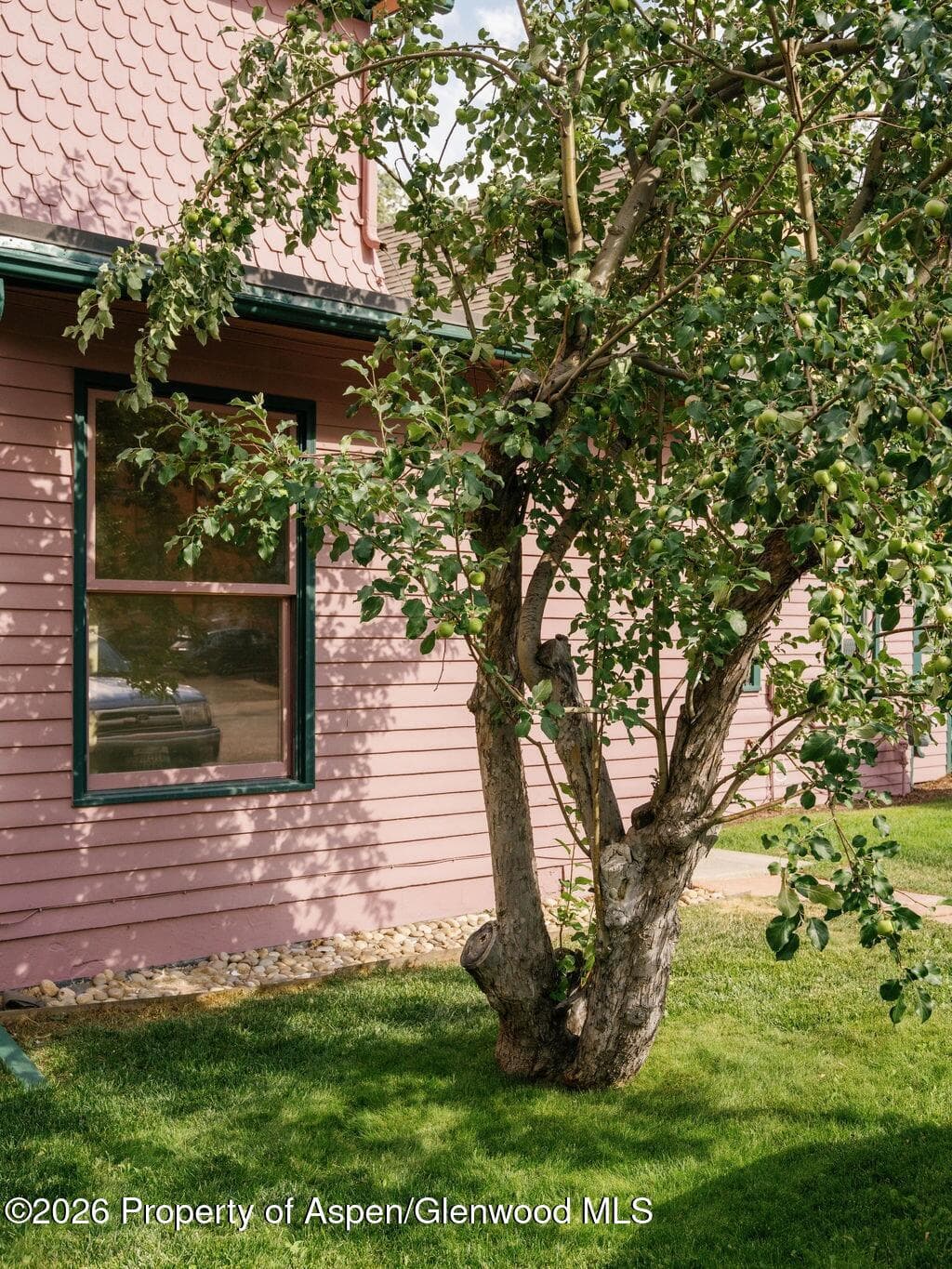 333 W Main Street B/2, Aspen, CO 81611 - Photo 25