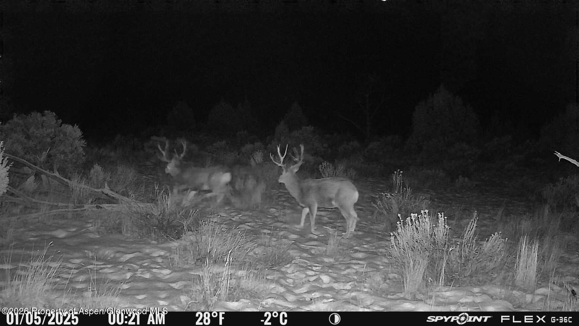 Tbd County Road 325, Rifle, CO 81650 - Photo 10