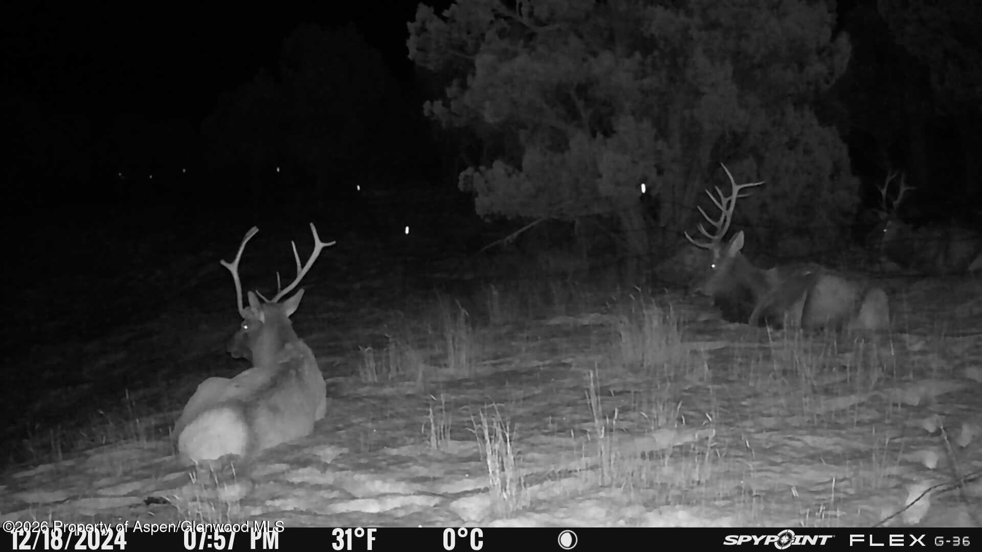 Tbd County Road 325, Rifle, CO 81650 - Photo 5