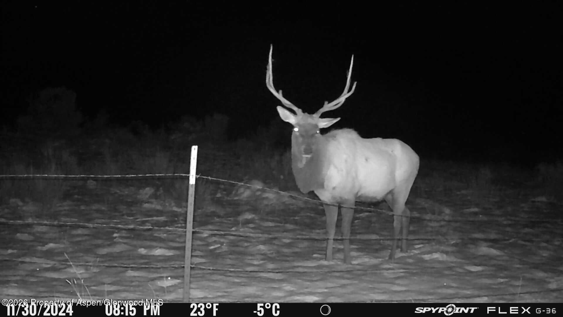 Tbd County Road 325, Rifle, CO 81650 - Photo 7