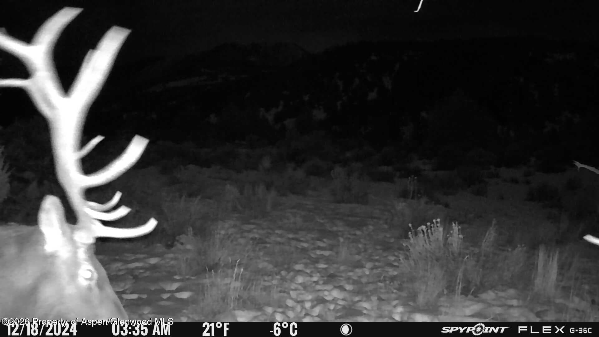 Tbd County Road 325, Rifle, CO 81650 - Photo 8