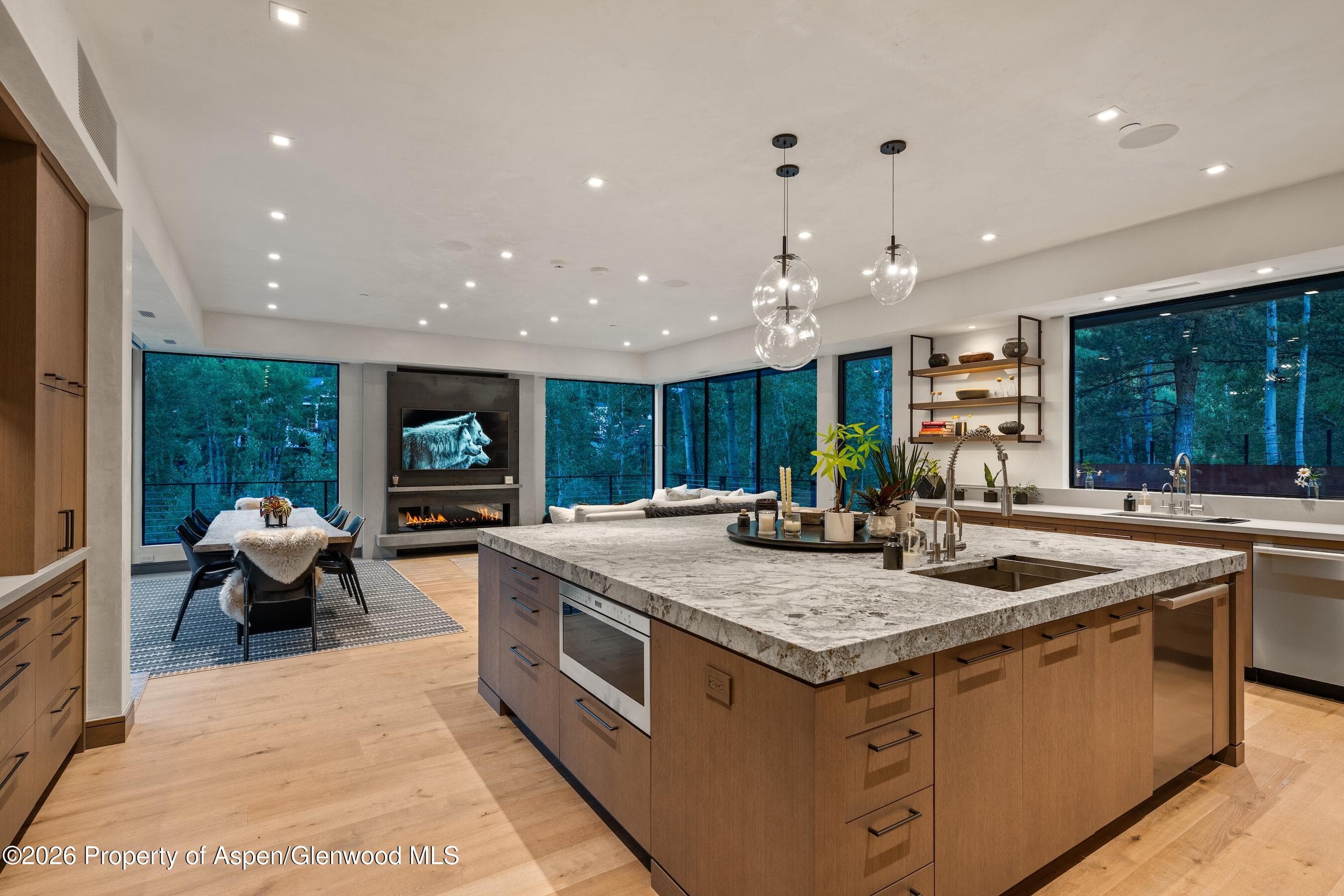 1419 Crystal Lake Road, Aspen, CO 81611 - Photo 16