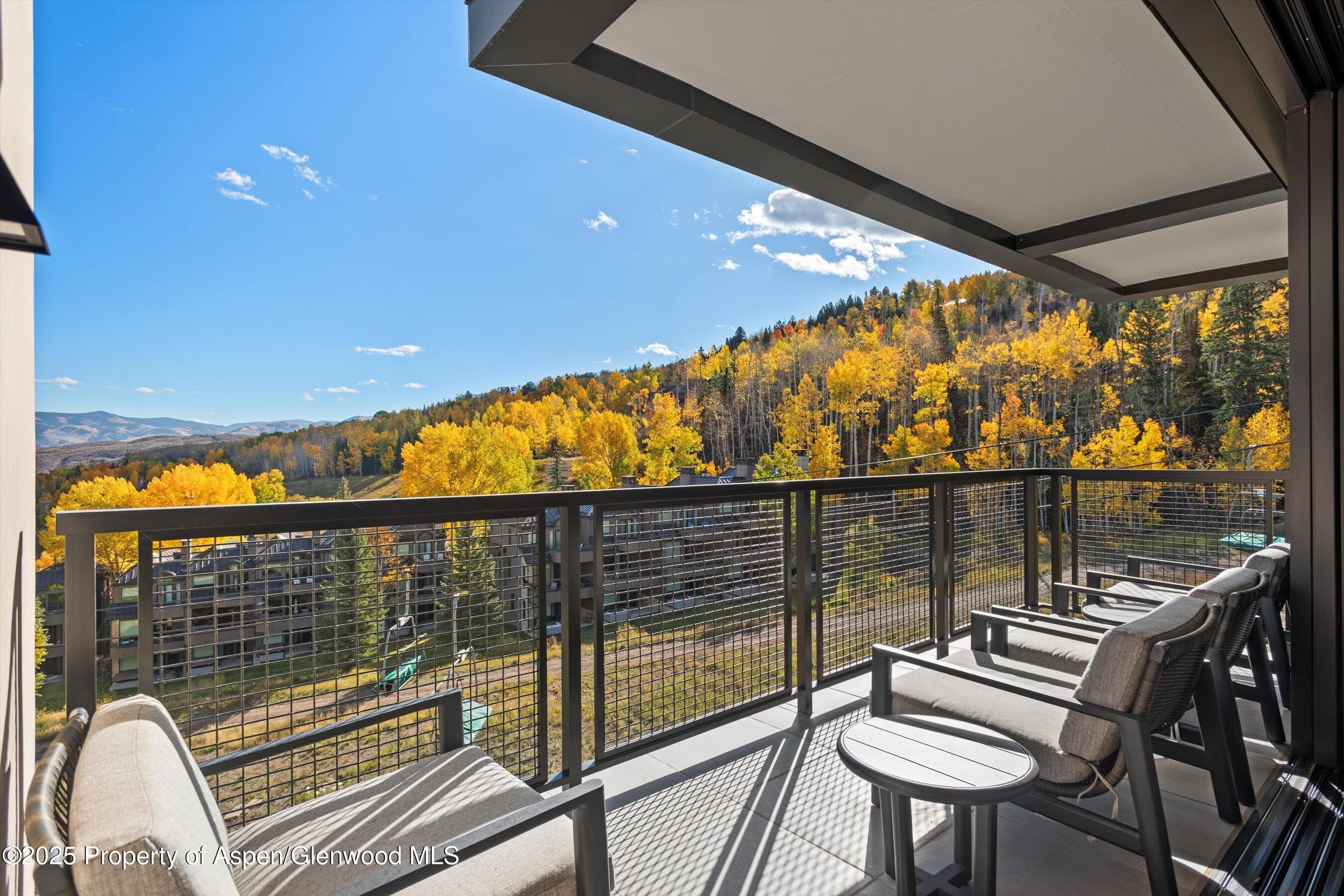 130 Wood Road 551, Snowmass Village, CO 81615 - Photo 10
