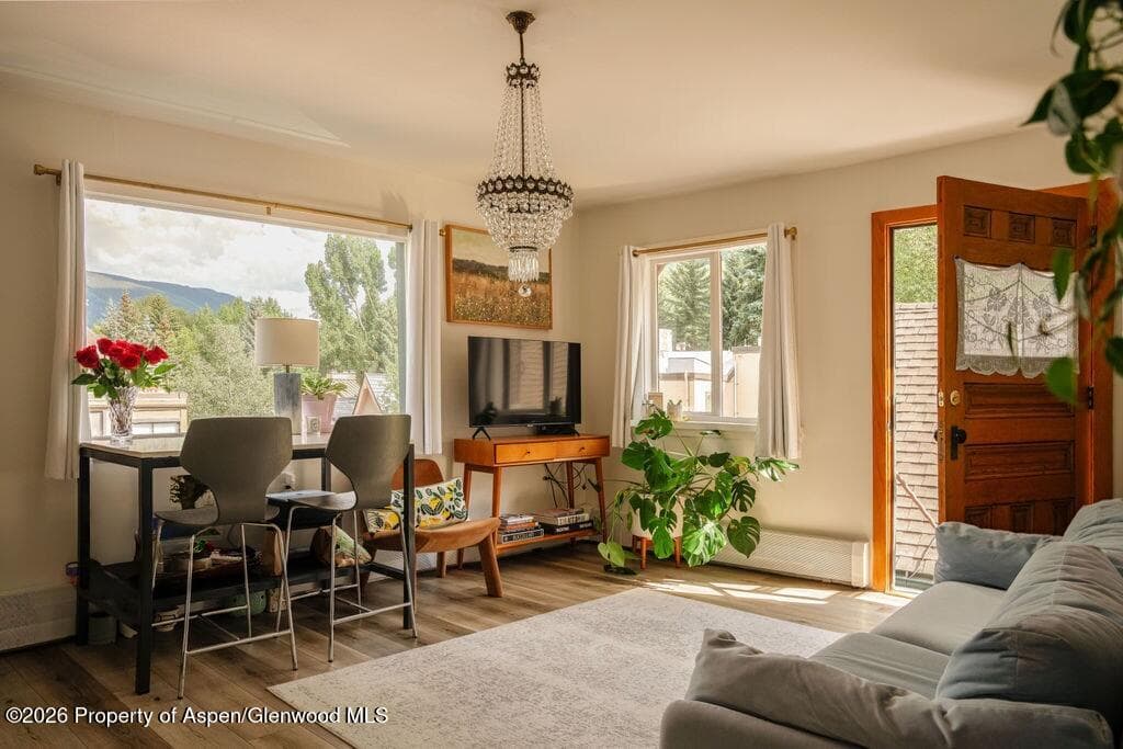 333 W Main Street B/2, Aspen, CO 81611 - Photo 6