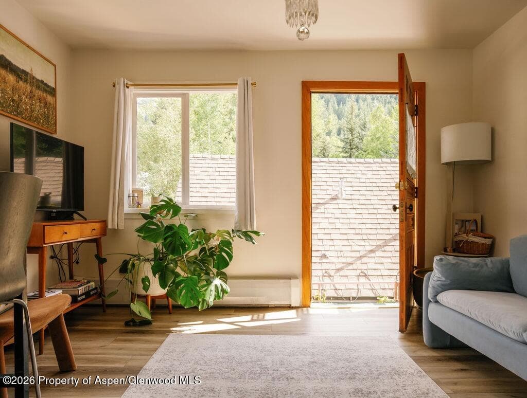 333 W Main Street B/2, Aspen, CO 81611 - Photo 7