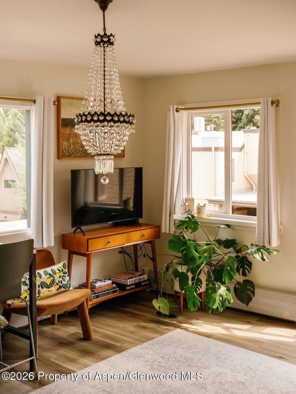 333 W Main Street B/2, Aspen, CO 81611 - Photo 4