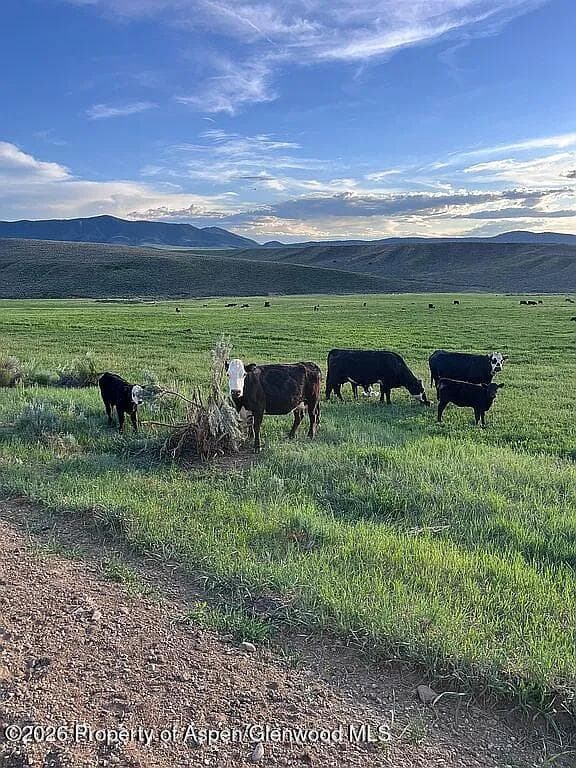 3719 County Road 45, Hamilton, CO 81638 - Photo 9
