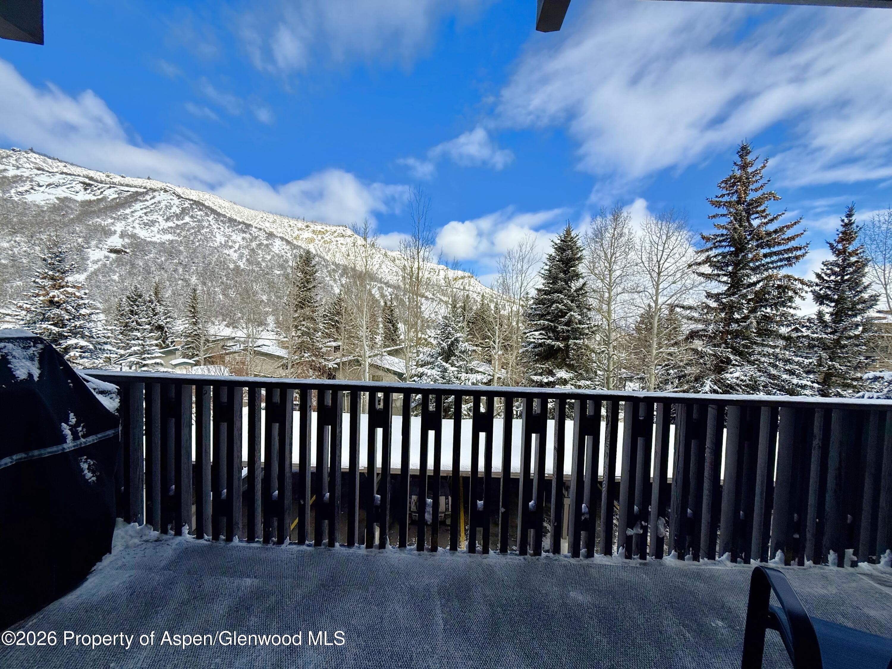 150 Carriage Way 33, Snowmass Village, CO 81615 - Photo 9