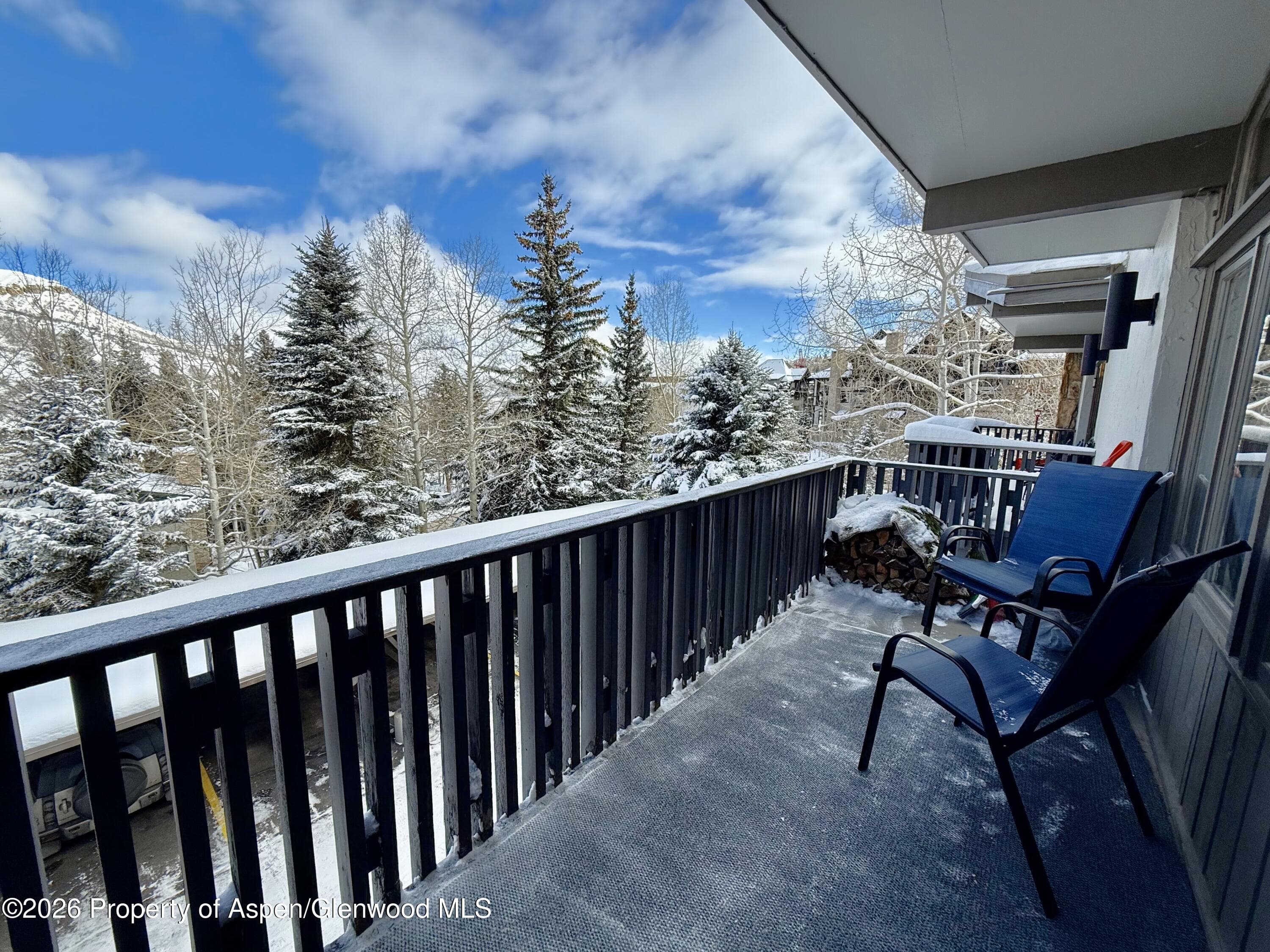 150 Carriage Way 33, Snowmass Village, CO 81615 - Photo 10