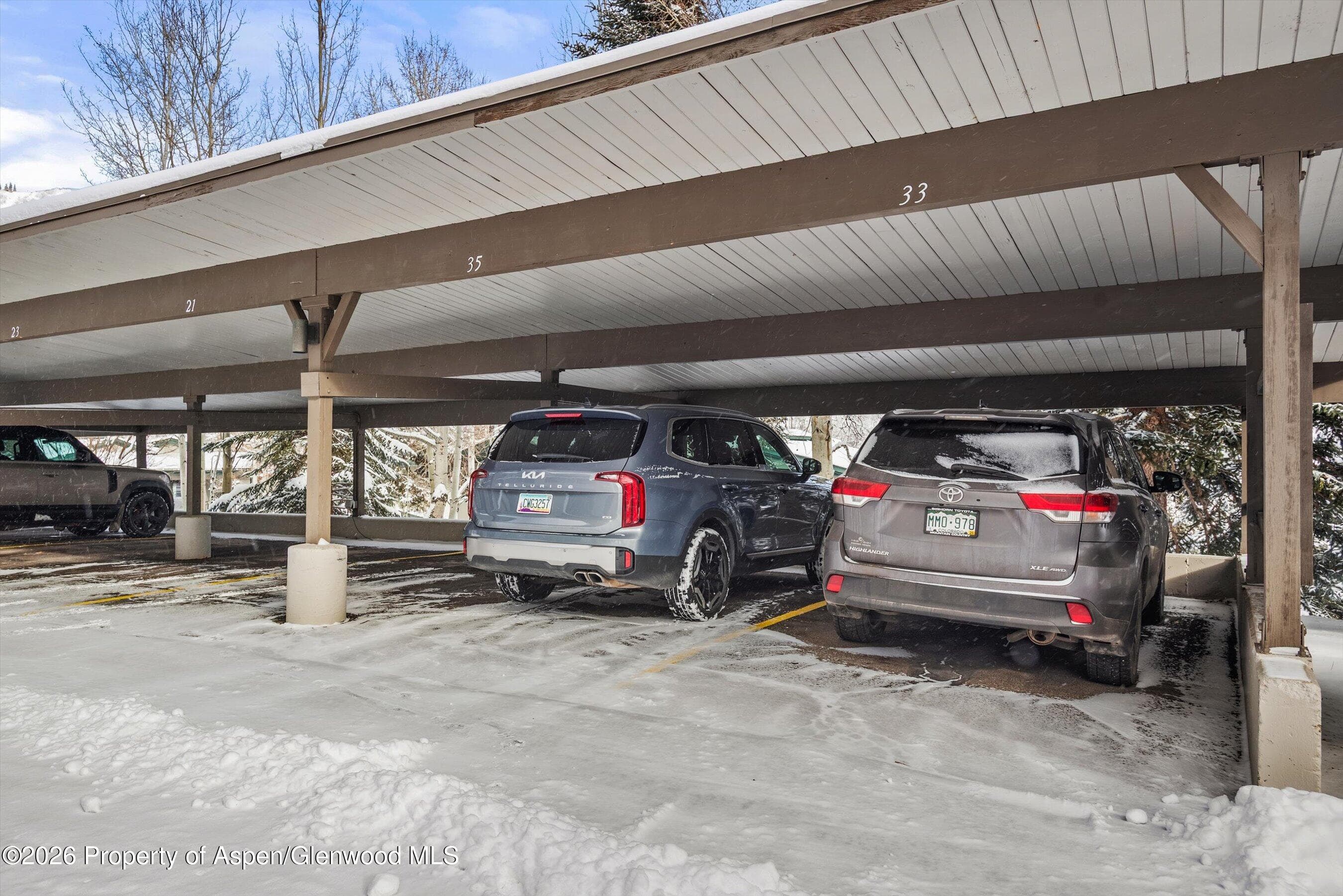 150 Carriage Way 33, Snowmass Village, CO 81615 - Photo 14
