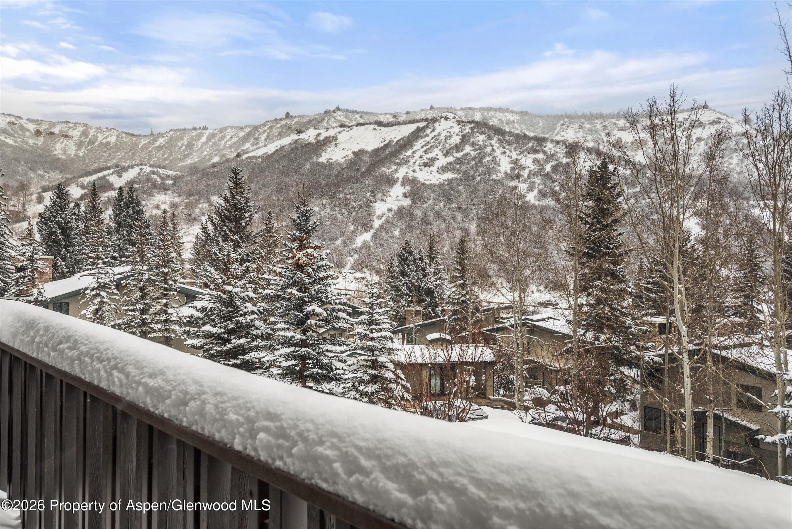 150 Carriage Way 33, Snowmass Village, CO 81615 - Photo 16
