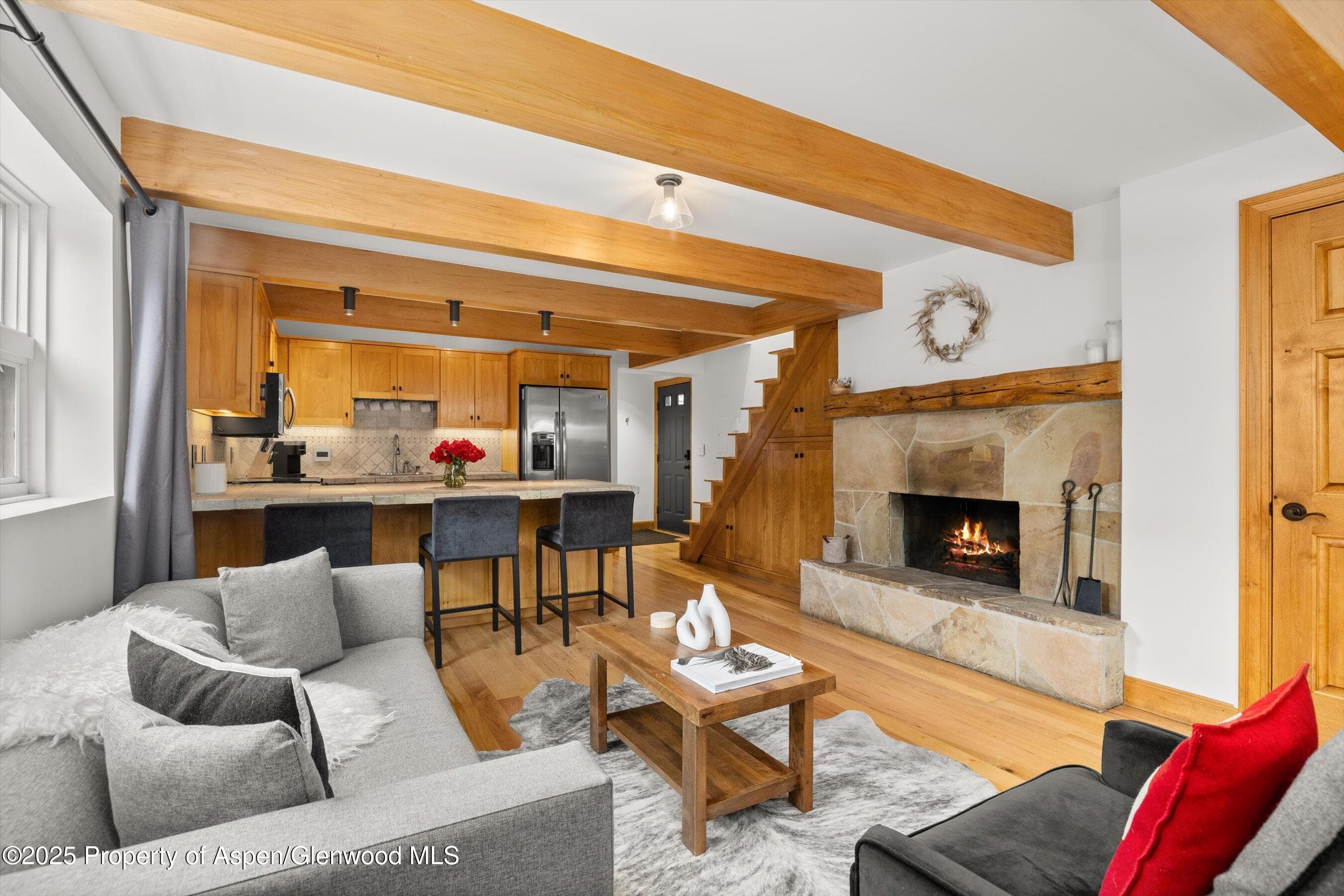 914 Waters Avenue 20, Aspen, CO 81611