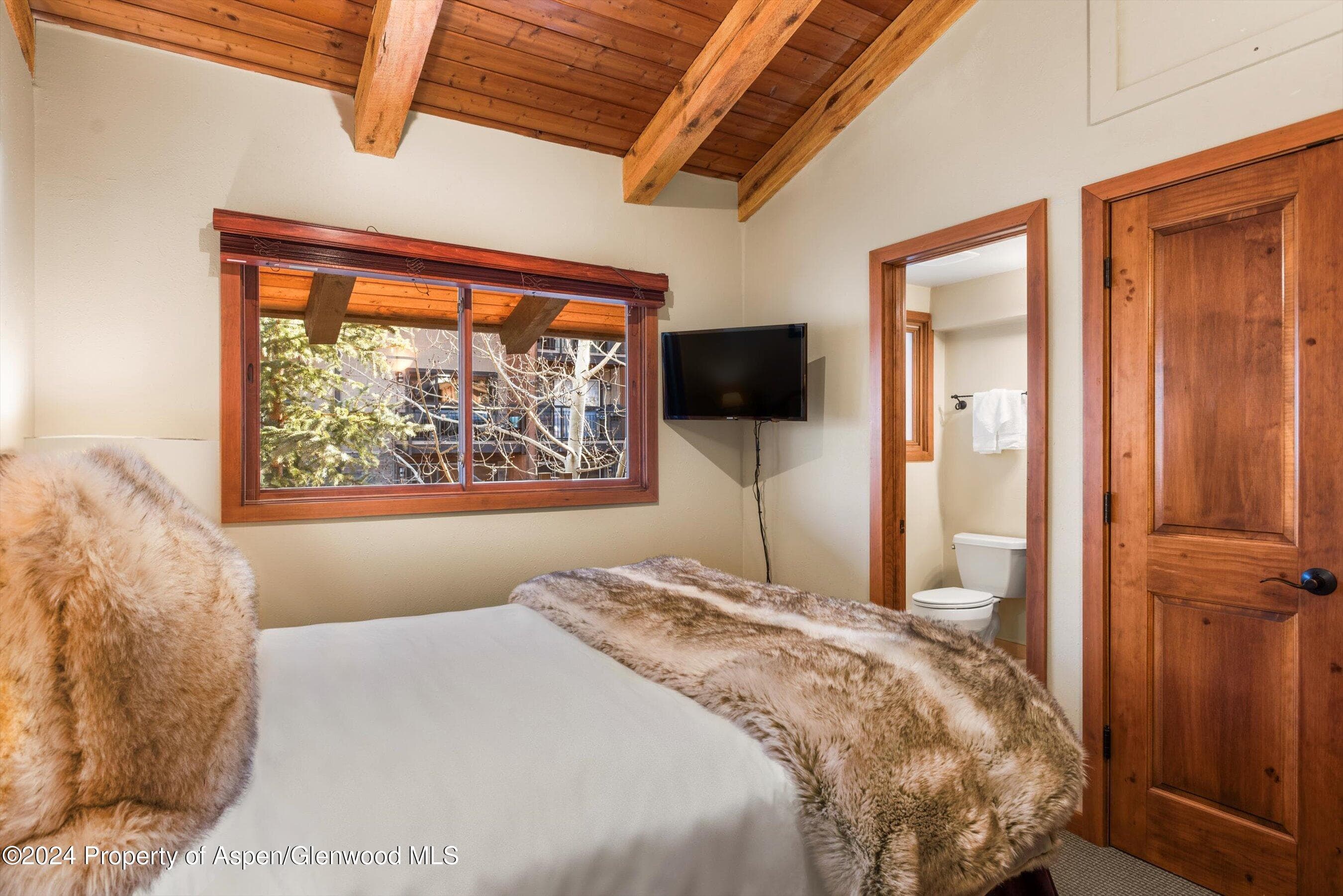 400 Wood Road 1207, Snowmass Village, CO 81615 - Photo 10