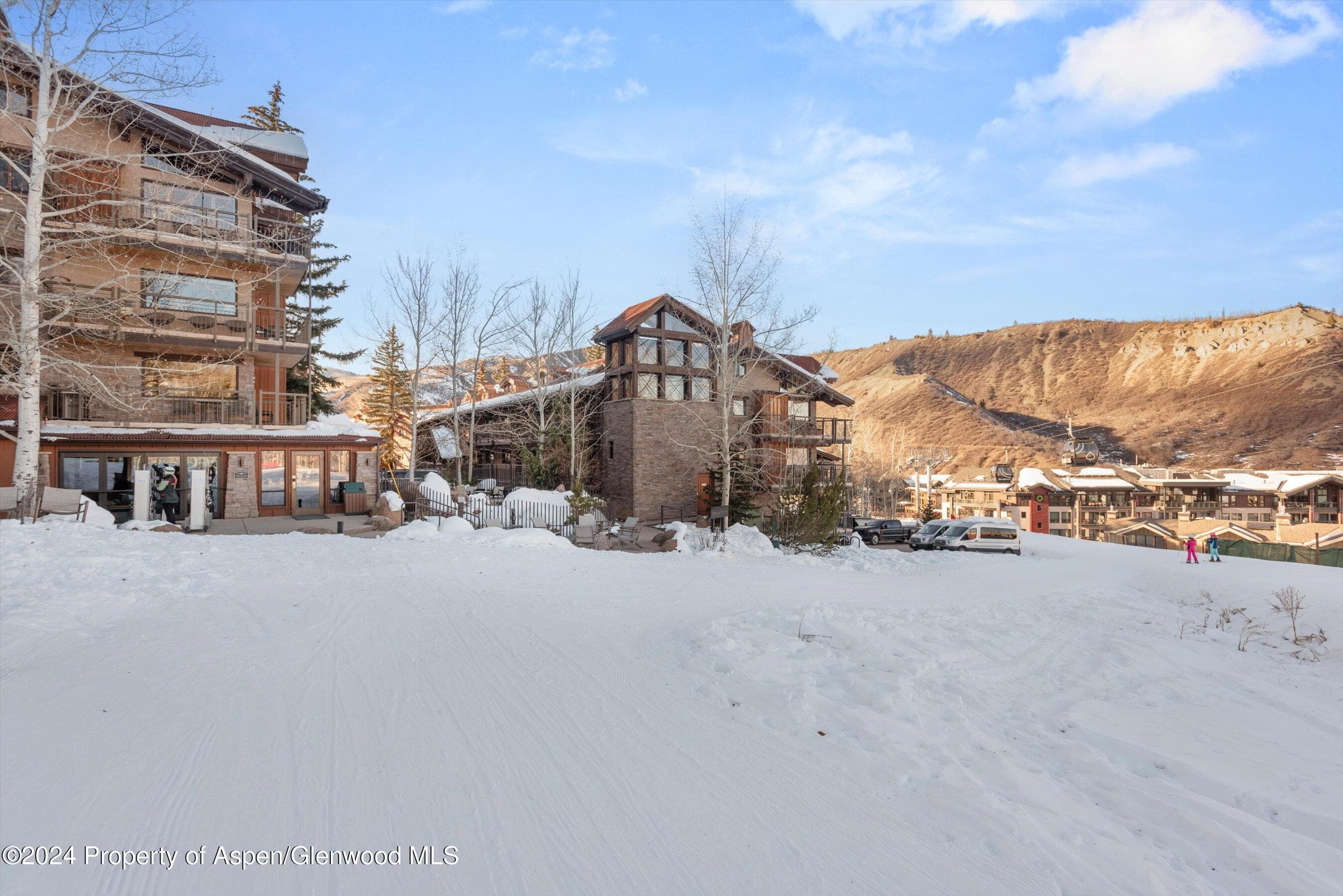 400 Wood Road 1207, Snowmass Village, CO 81615 - Photo 30