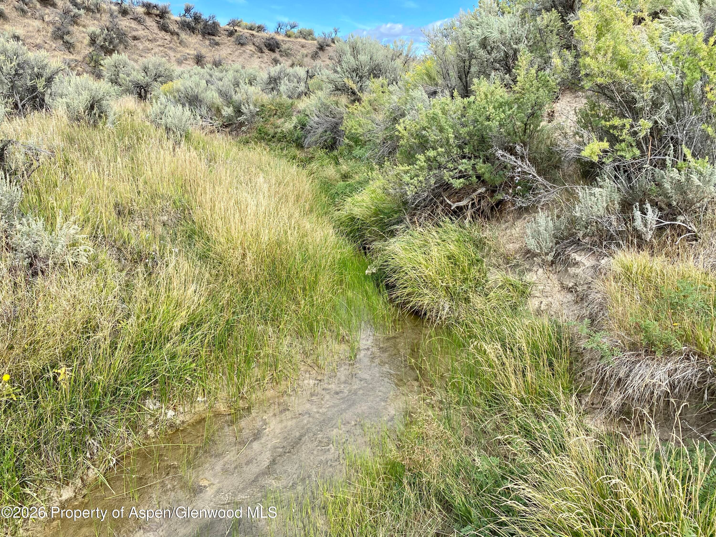 3719 County Road 45, Hamilton, CO 81638 - Photo 21