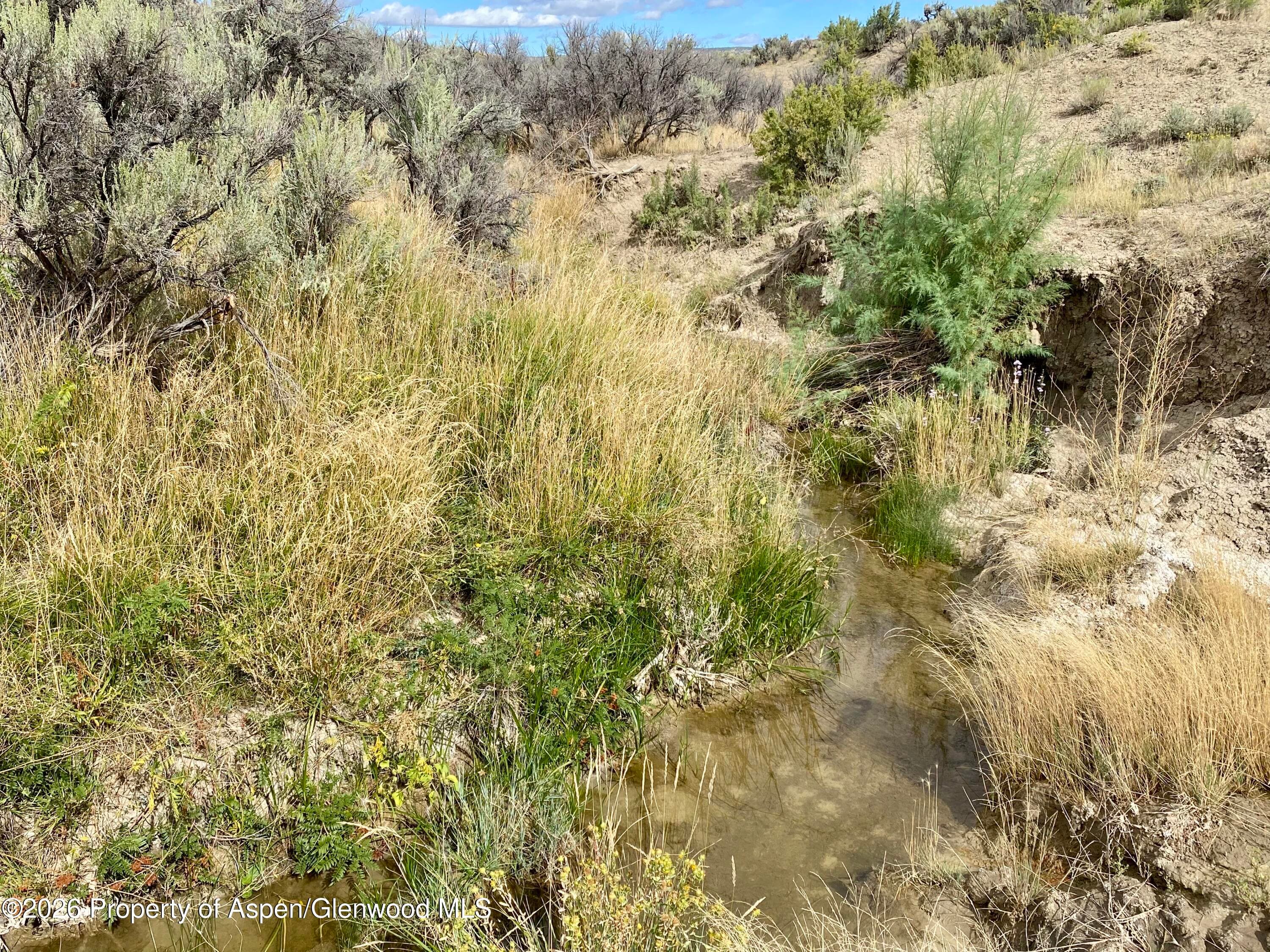 Tbd County Road 45 Lot 6, Hamilton, CO 81638 - Photo 3