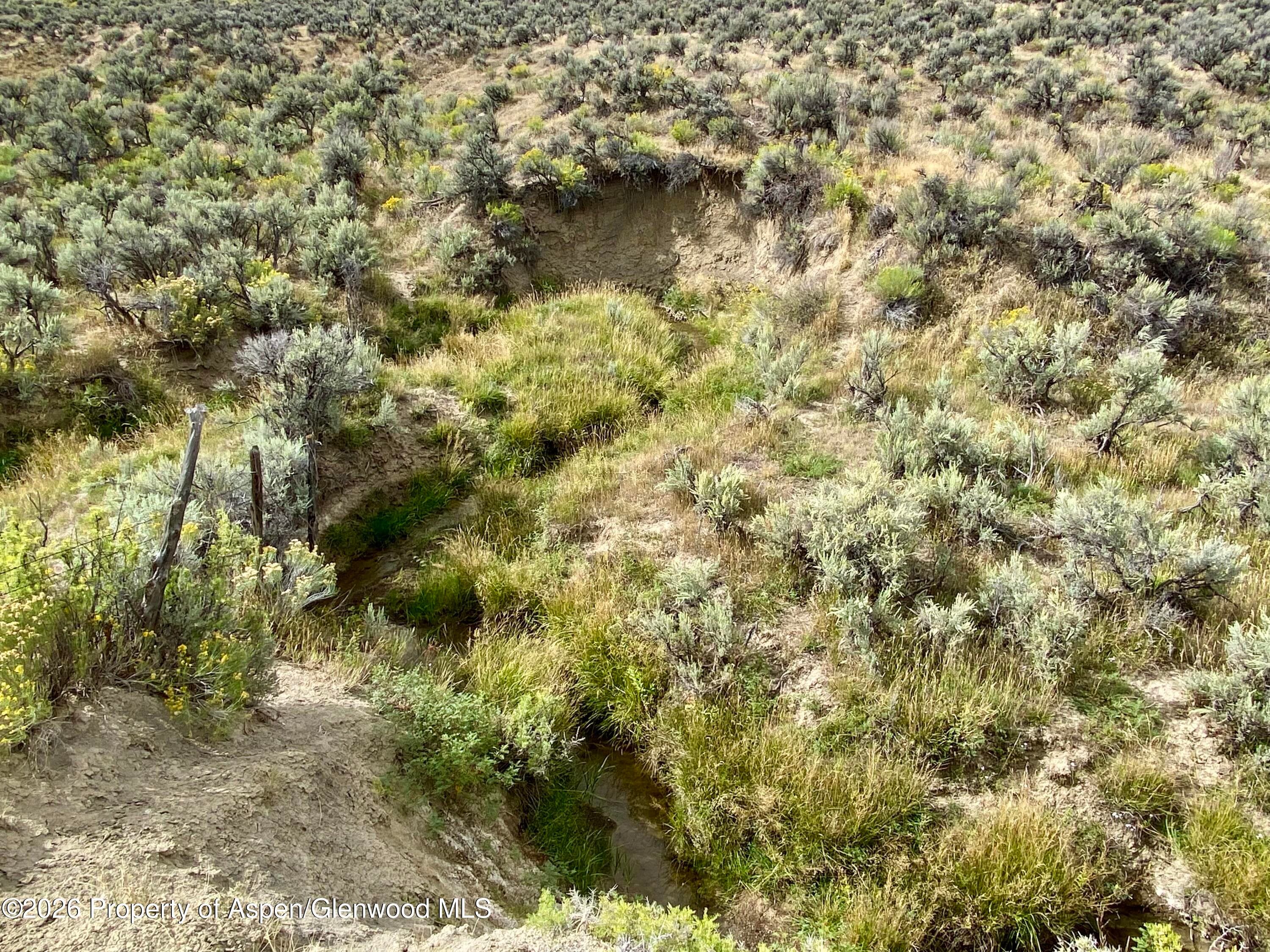 Tbd County Road 45 Lot 6, Hamilton, CO 81638 - Photo 9