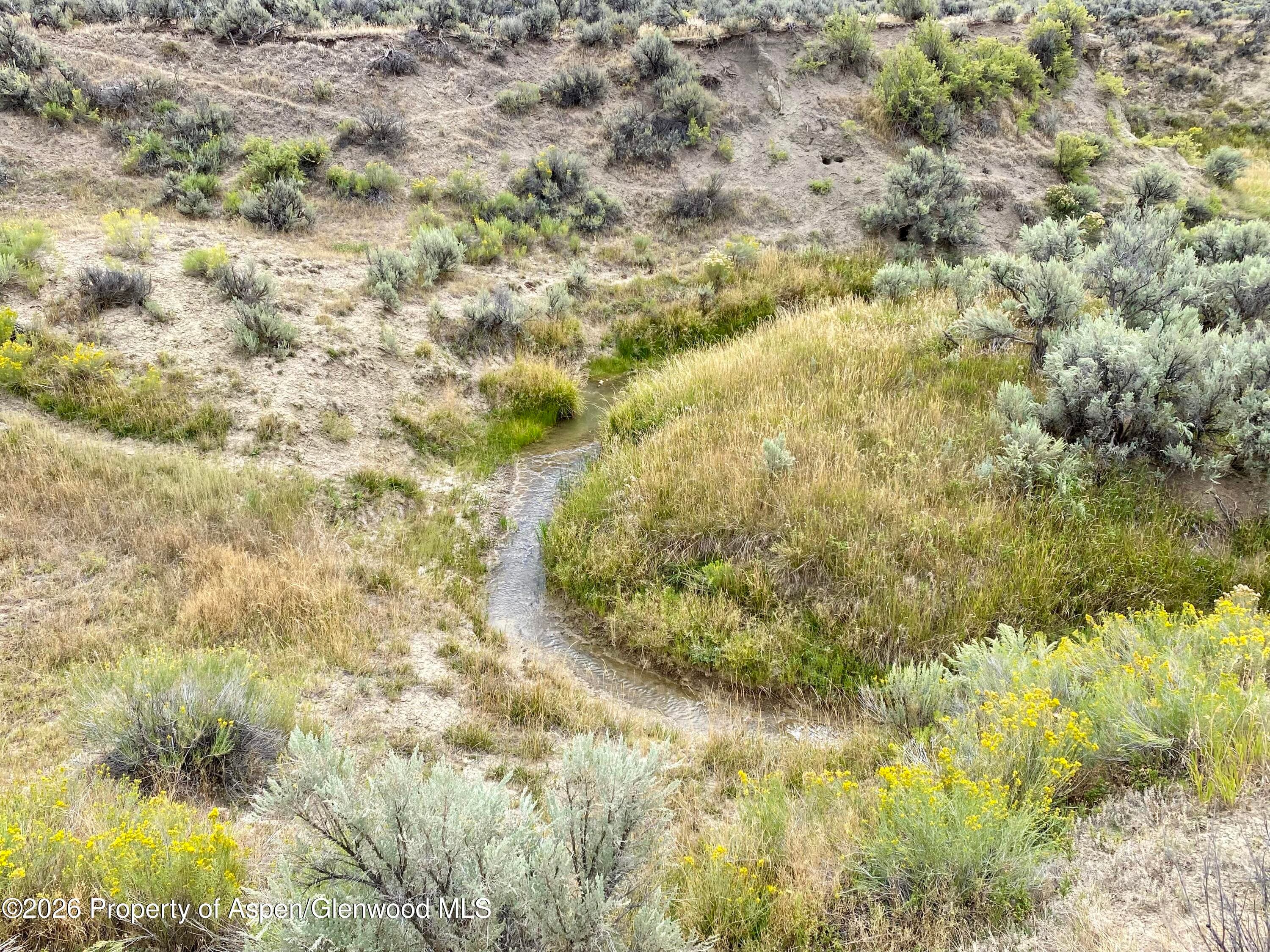 Tbd County Road 45 Lot 6, Hamilton, CO 81638 - Photo 10