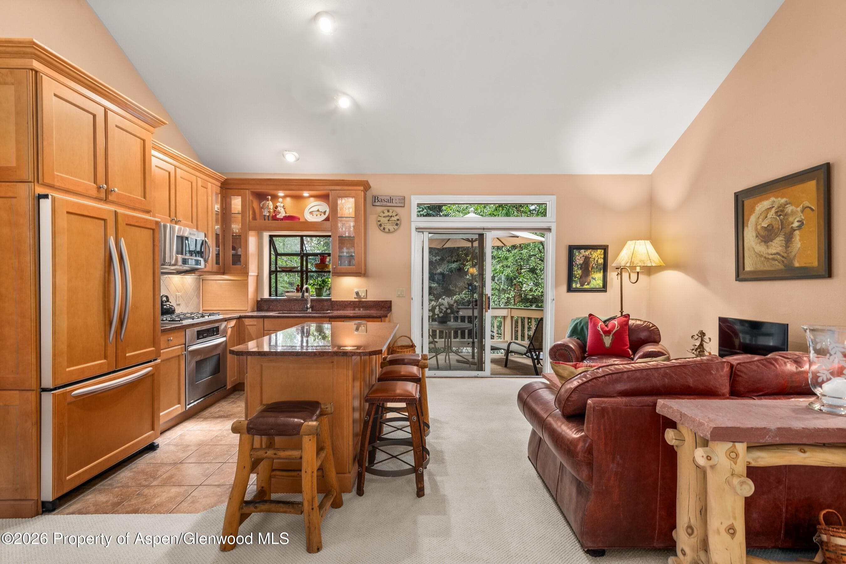 1504 Mockingbird Lane, Basalt, CO 81621