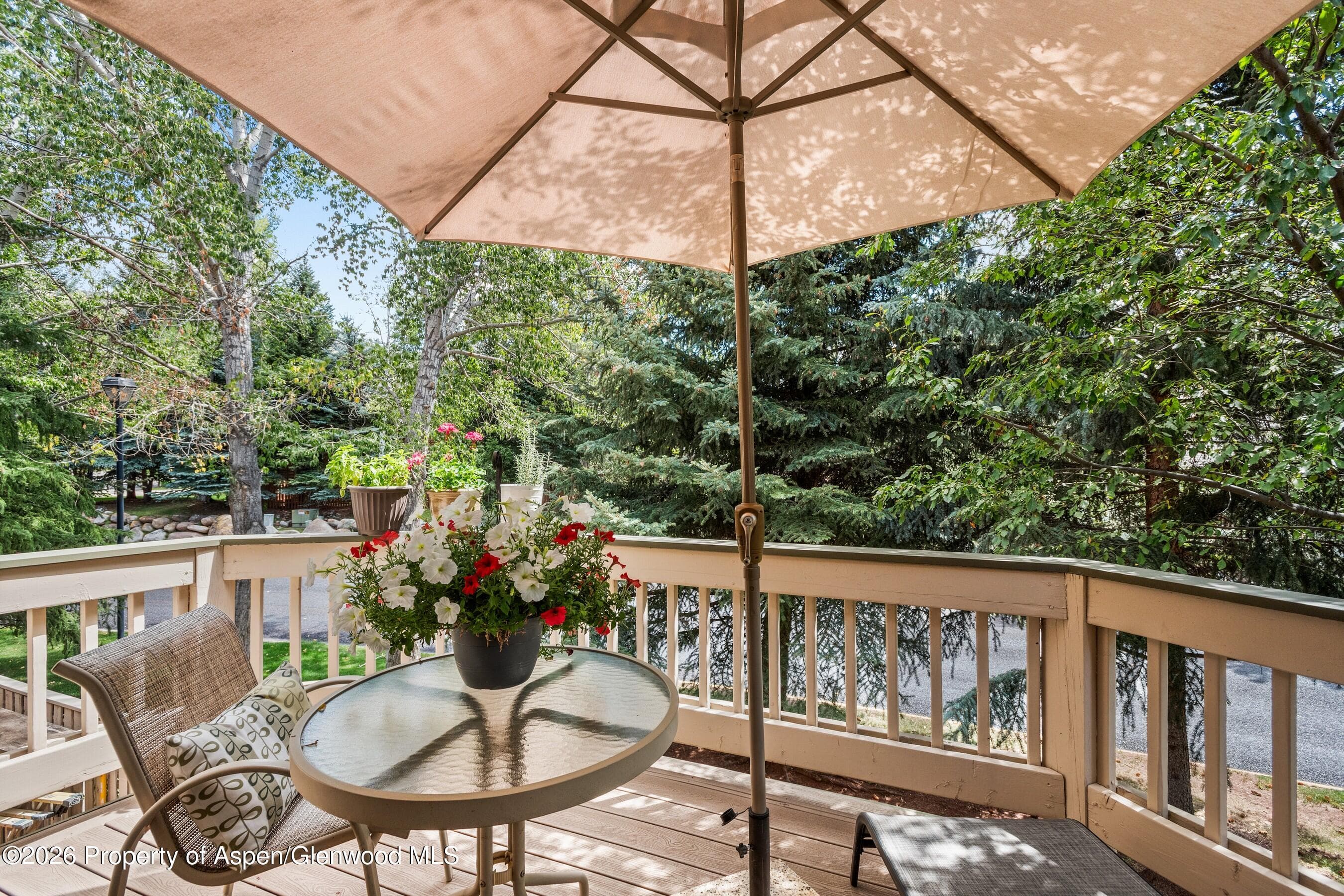 1504 Mockingbird Lane, Basalt, CO 81621 - Photo 11