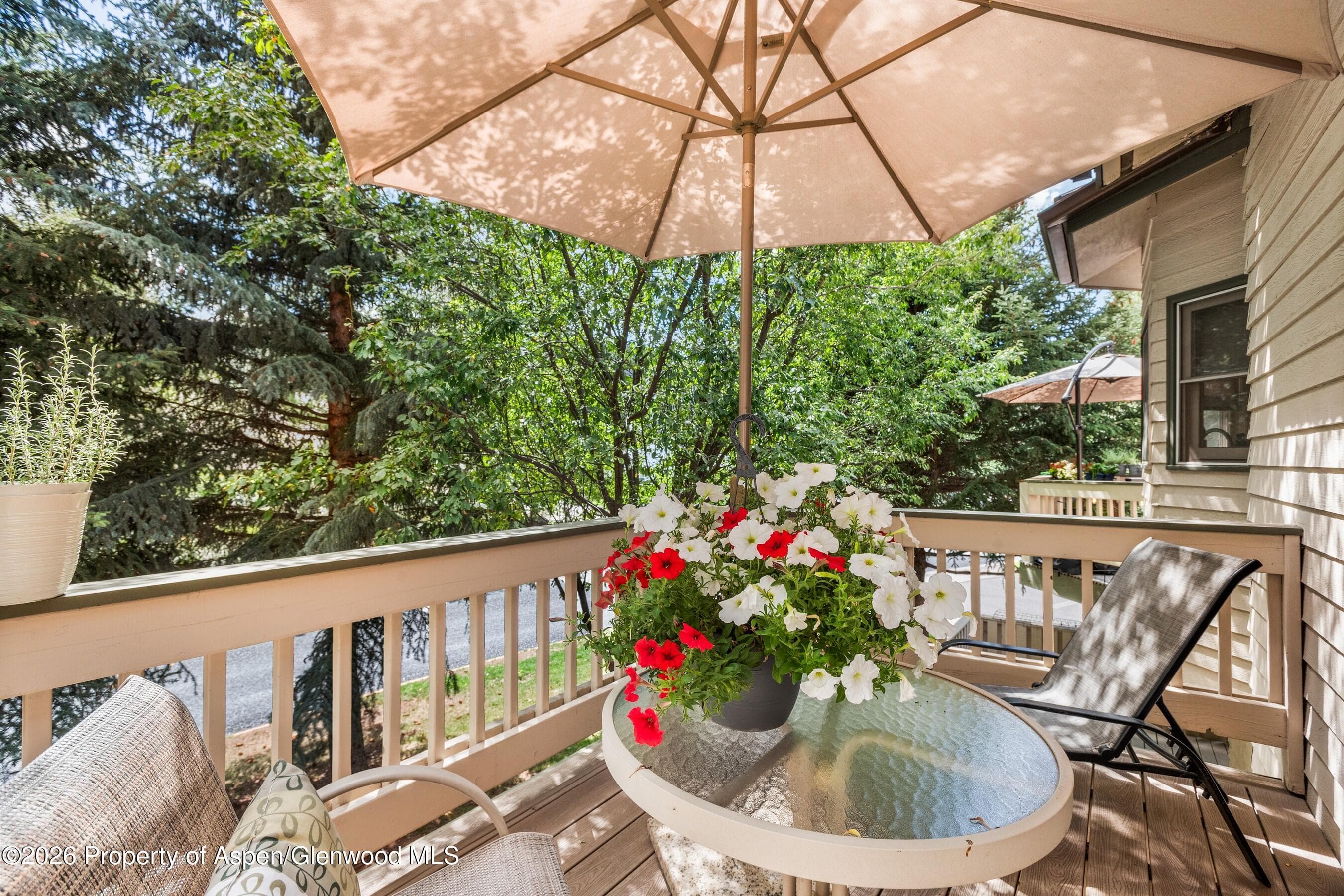 1504 Mockingbird Lane, Basalt, CO 81621 - Photo 12