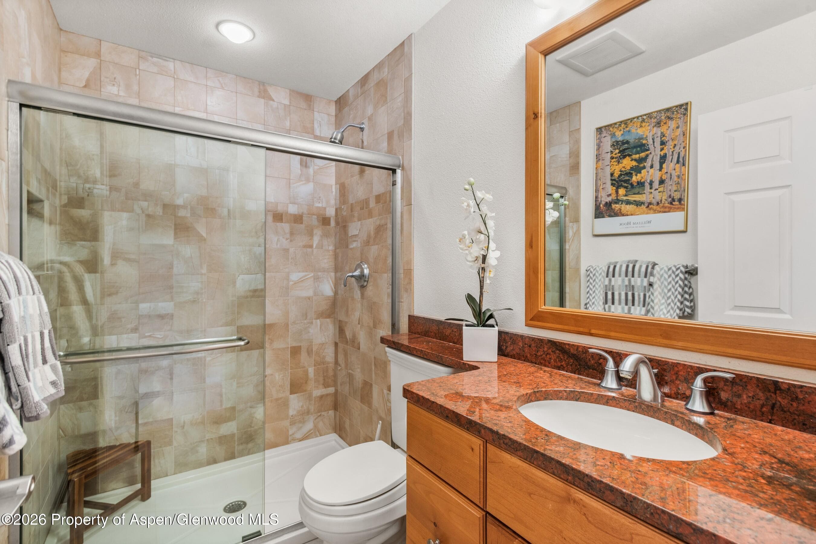 1504 Mockingbird Lane, Basalt, CO 81621 - Photo 14