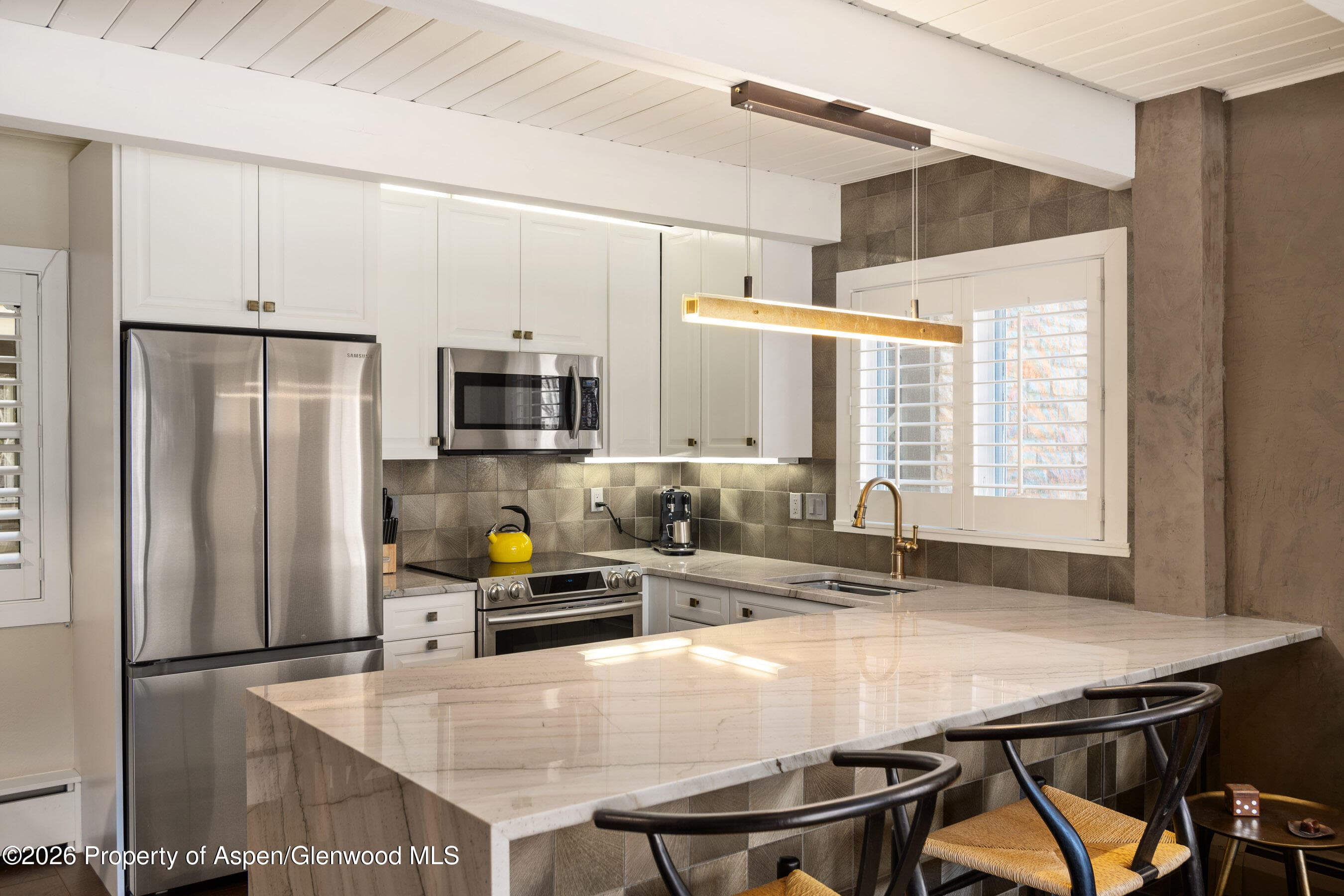 825 E Hopkins Avenue 2n, Aspen, CO 81611 - Photo 4