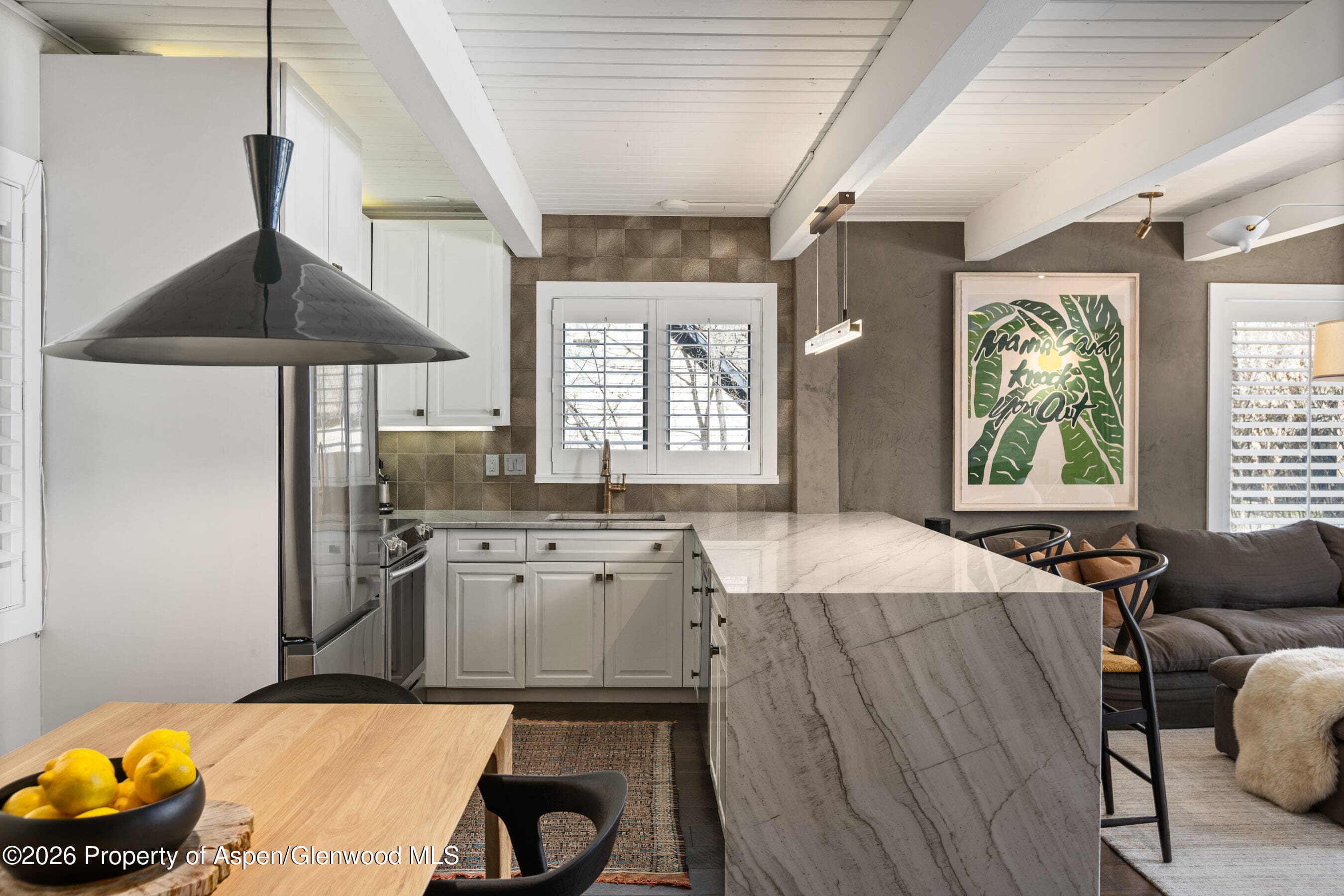 825 E Hopkins Avenue 2n, Aspen, CO 81611 - Photo 5