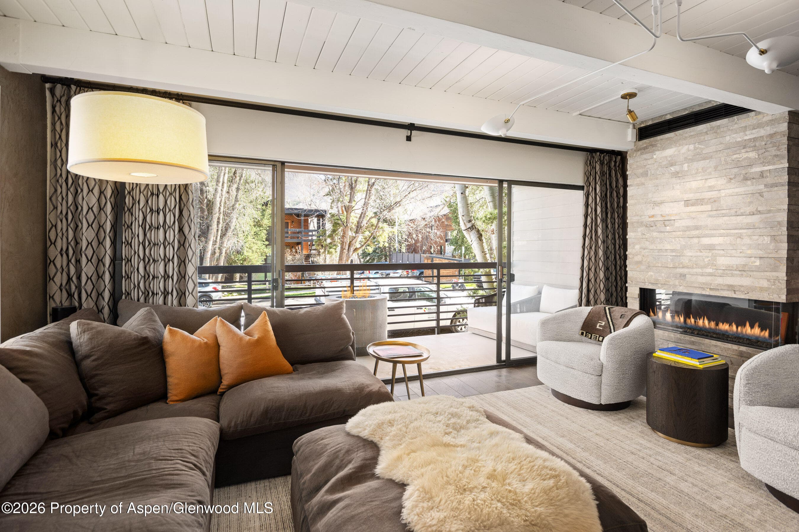 825 E Hopkins Avenue 2n, Aspen, CO 81611 - Photo 8