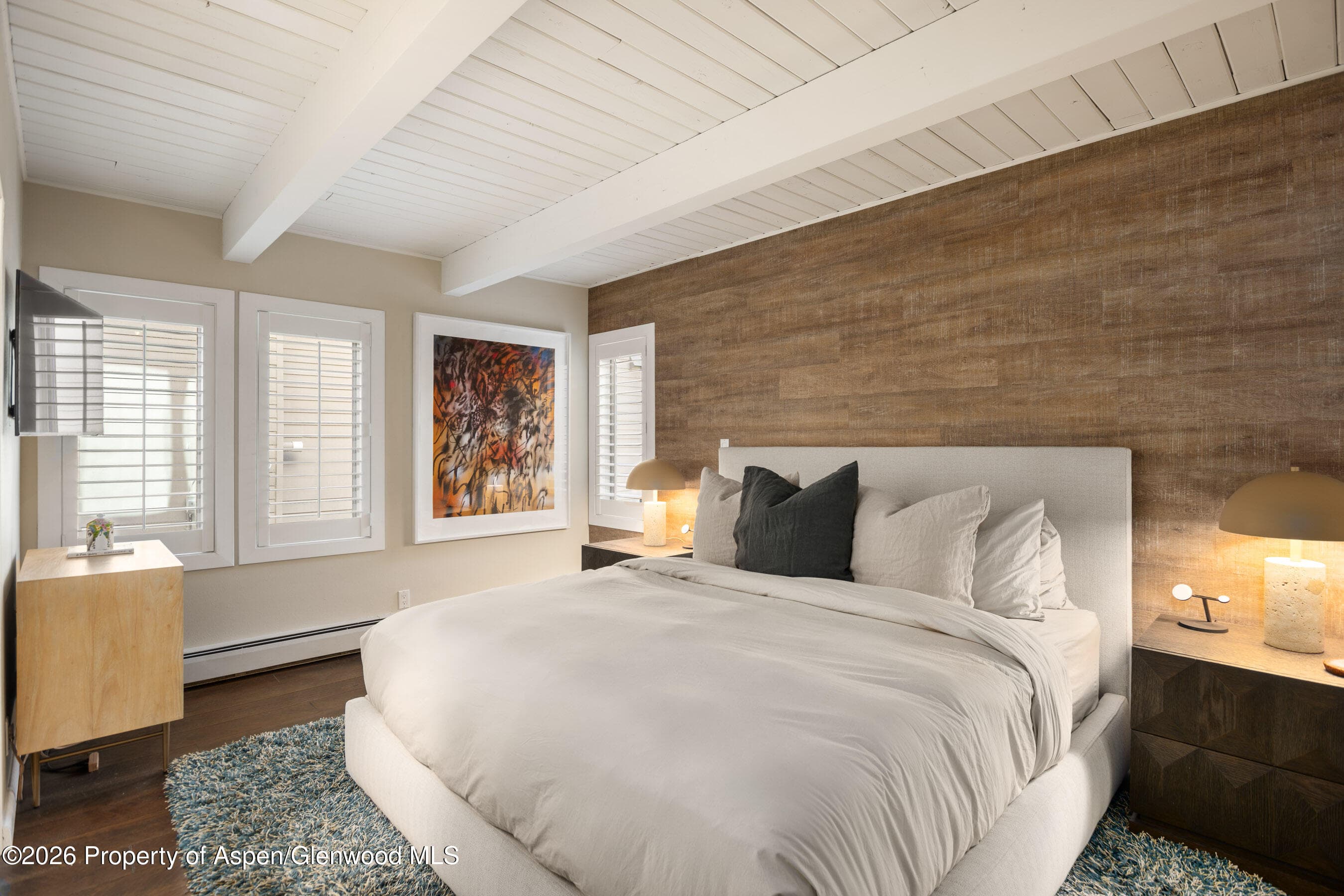 825 E Hopkins Avenue 2n, Aspen, CO 81611 - Photo 11