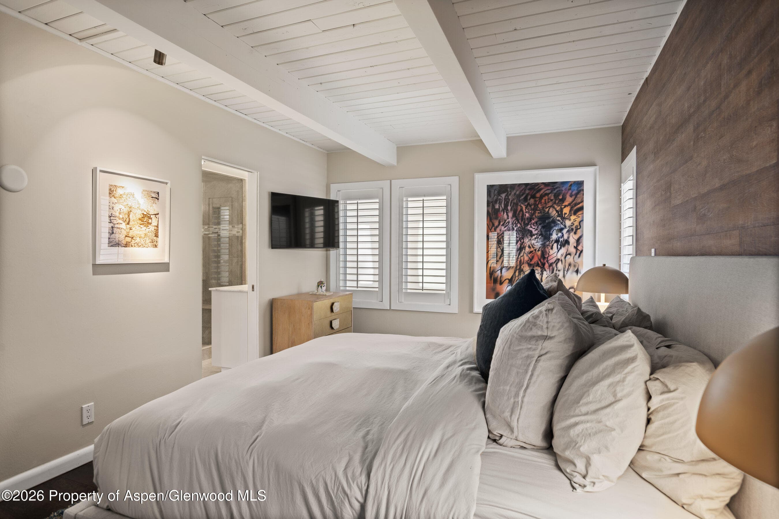 825 E Hopkins Avenue 2n, Aspen, CO 81611 - Photo 12