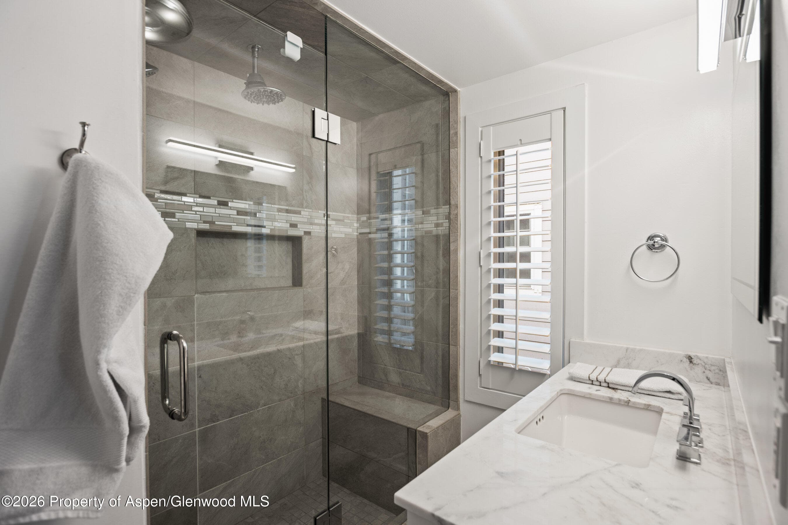 825 E Hopkins Avenue 2n, Aspen, CO 81611 - Photo 13