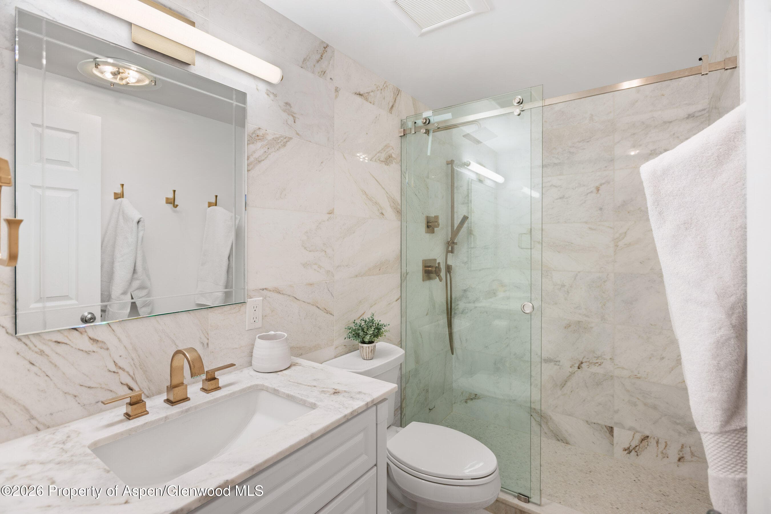 825 E Hopkins Avenue 2n, Aspen, CO 81611 - Photo 15