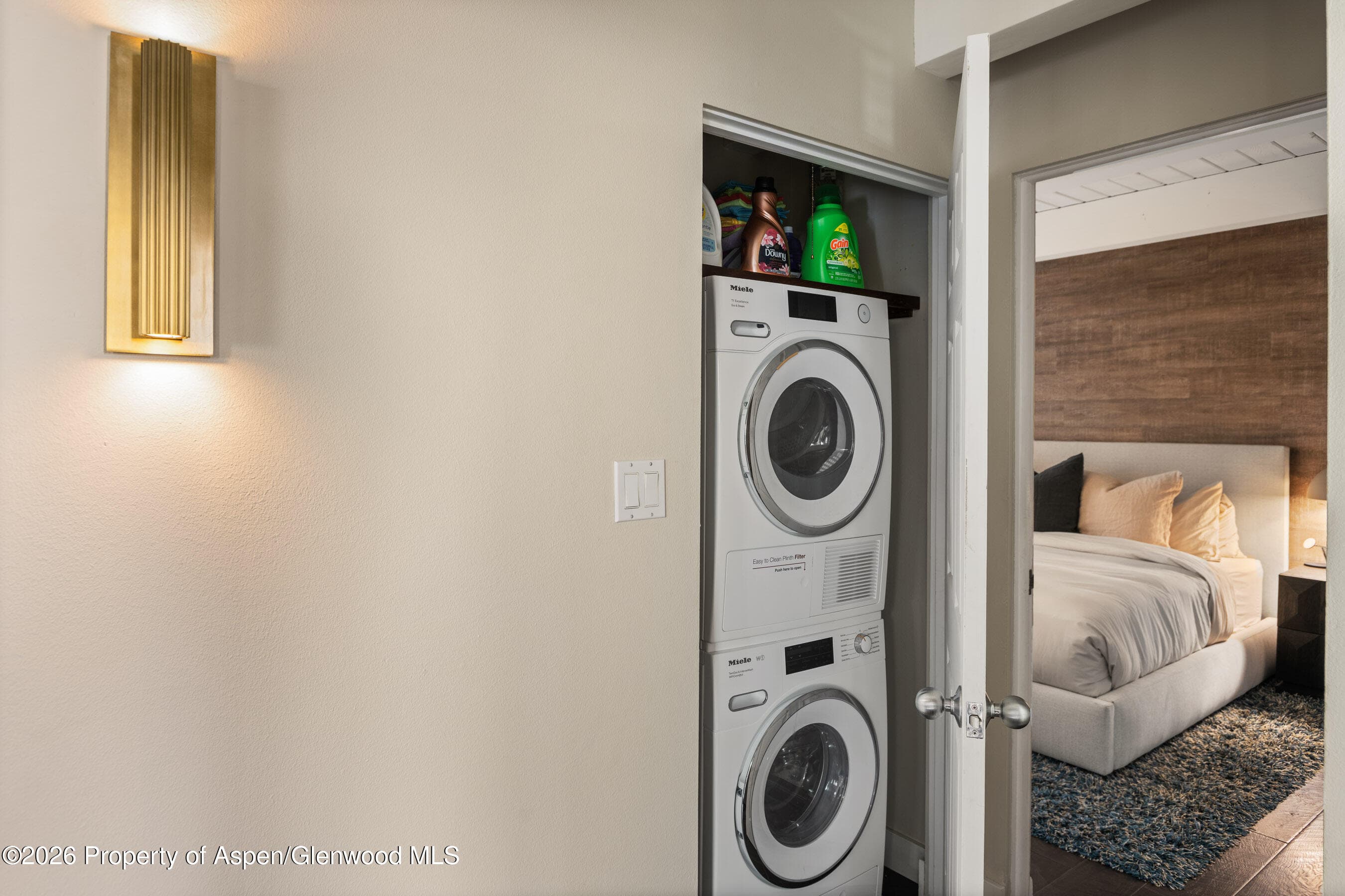 825 E Hopkins Avenue 2n, Aspen, CO 81611 - Photo 21