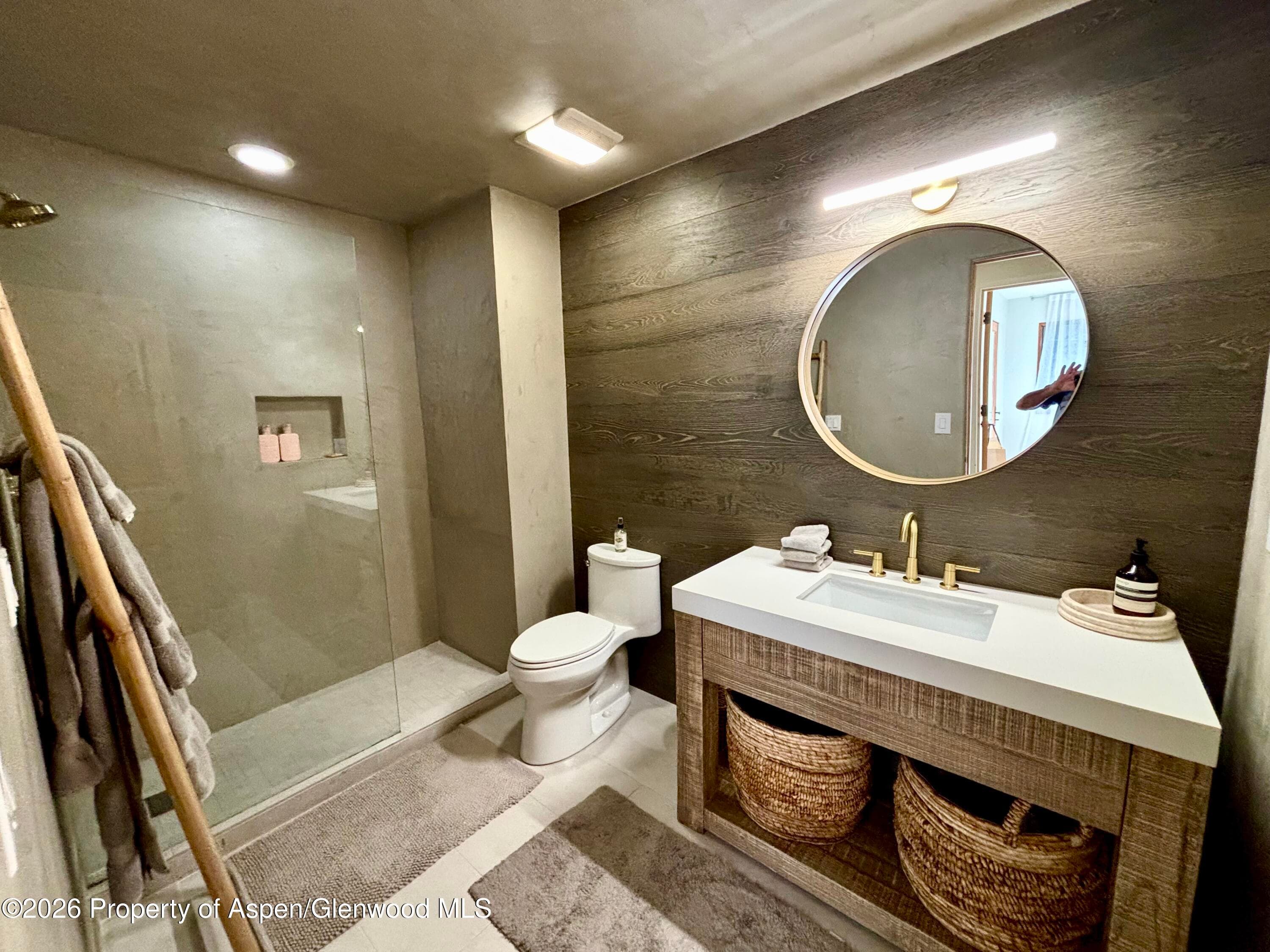 315 Summerset Lane B, Basalt, CO 81621 - Photo 14