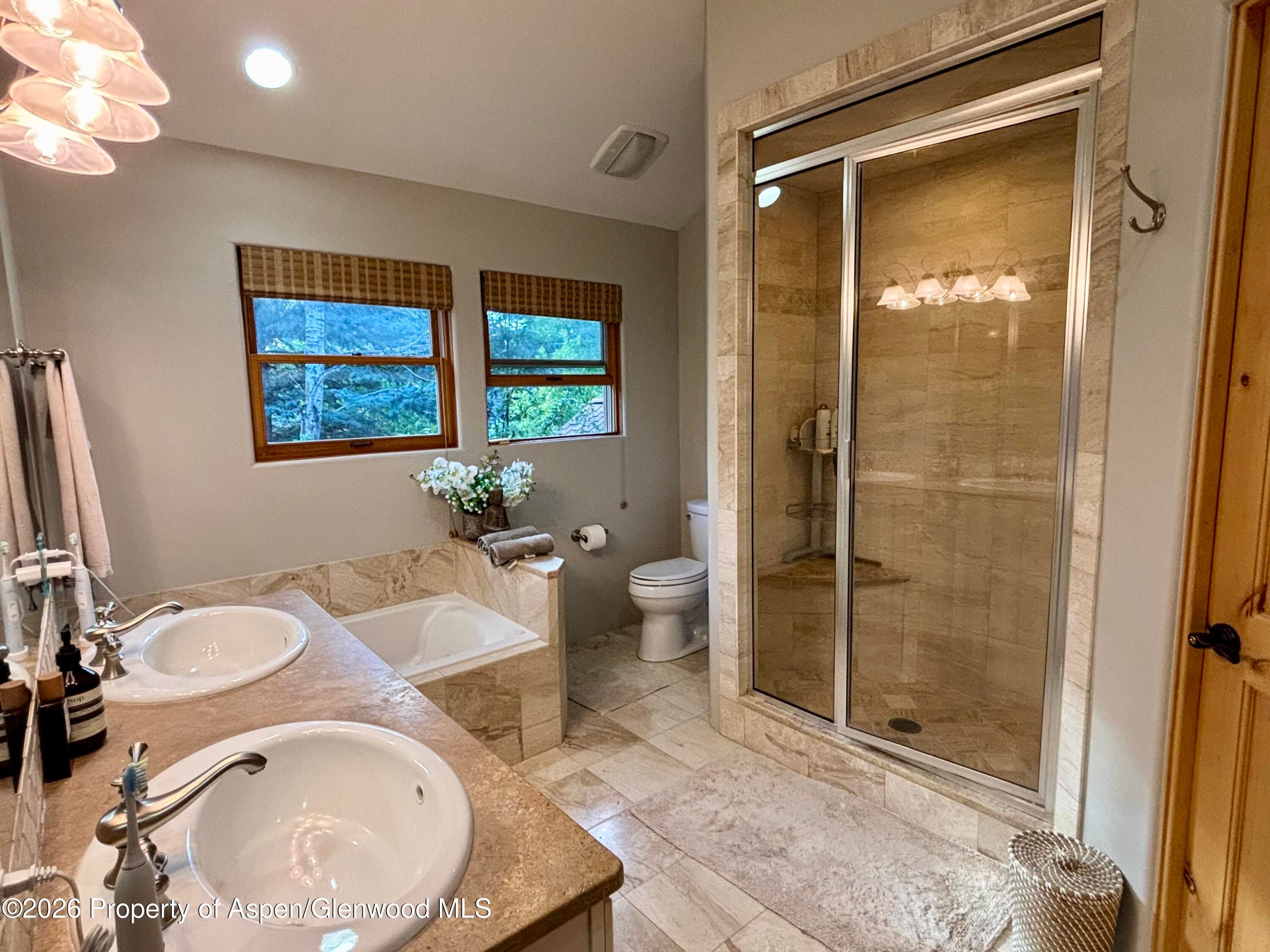 315 Summerset Lane B, Basalt, CO 81621 - Photo 19