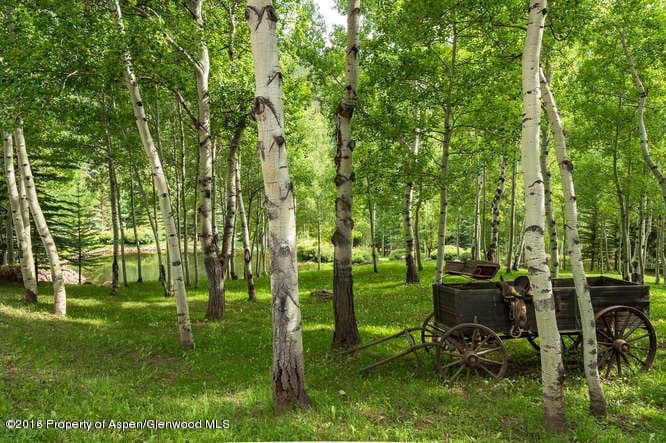 6067 Woody Creek Road, Woody Creek, CO 81656 - Photo 29